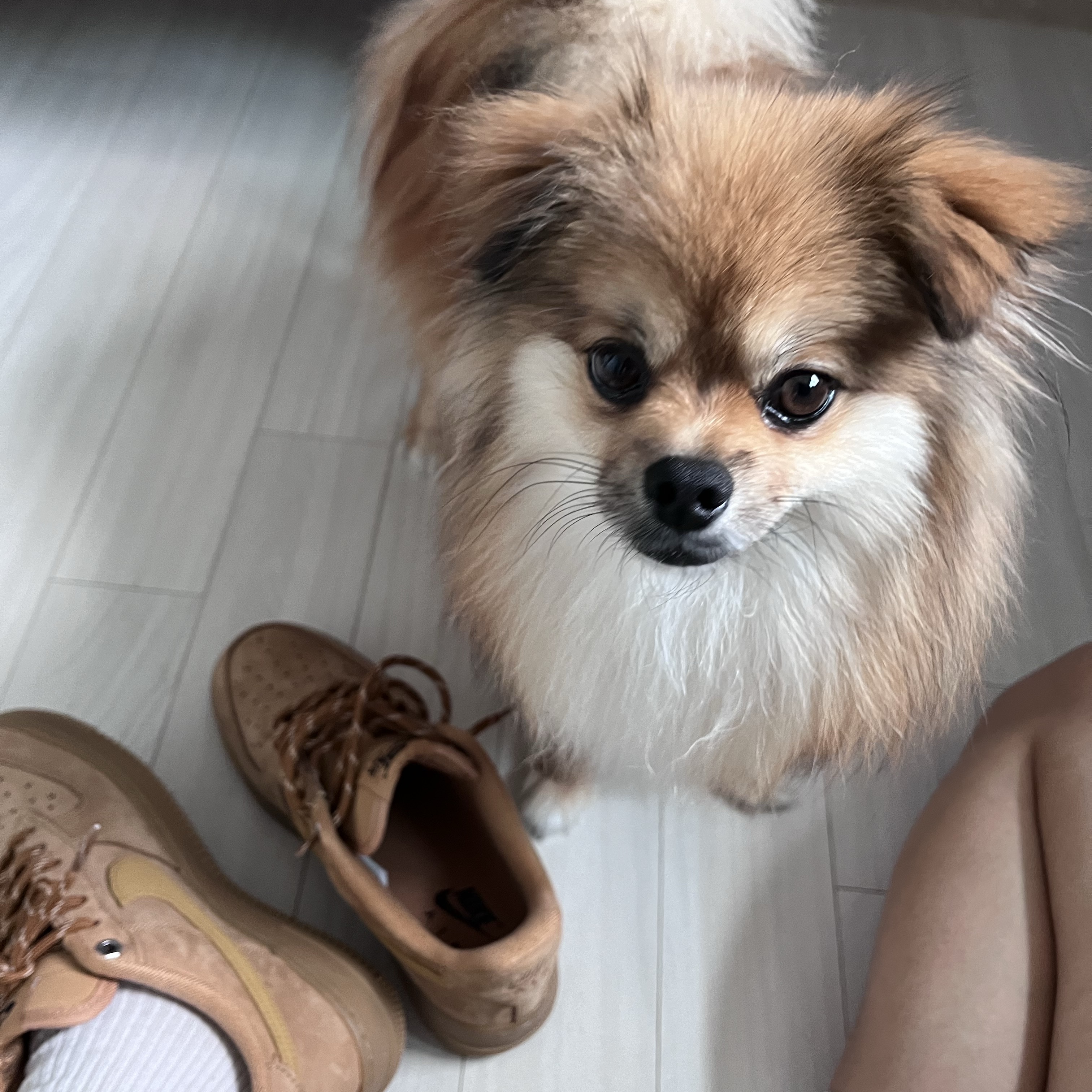 (W) Nike Air Force 1 '07 WB Flax Wheat 착용 스타일 - 1