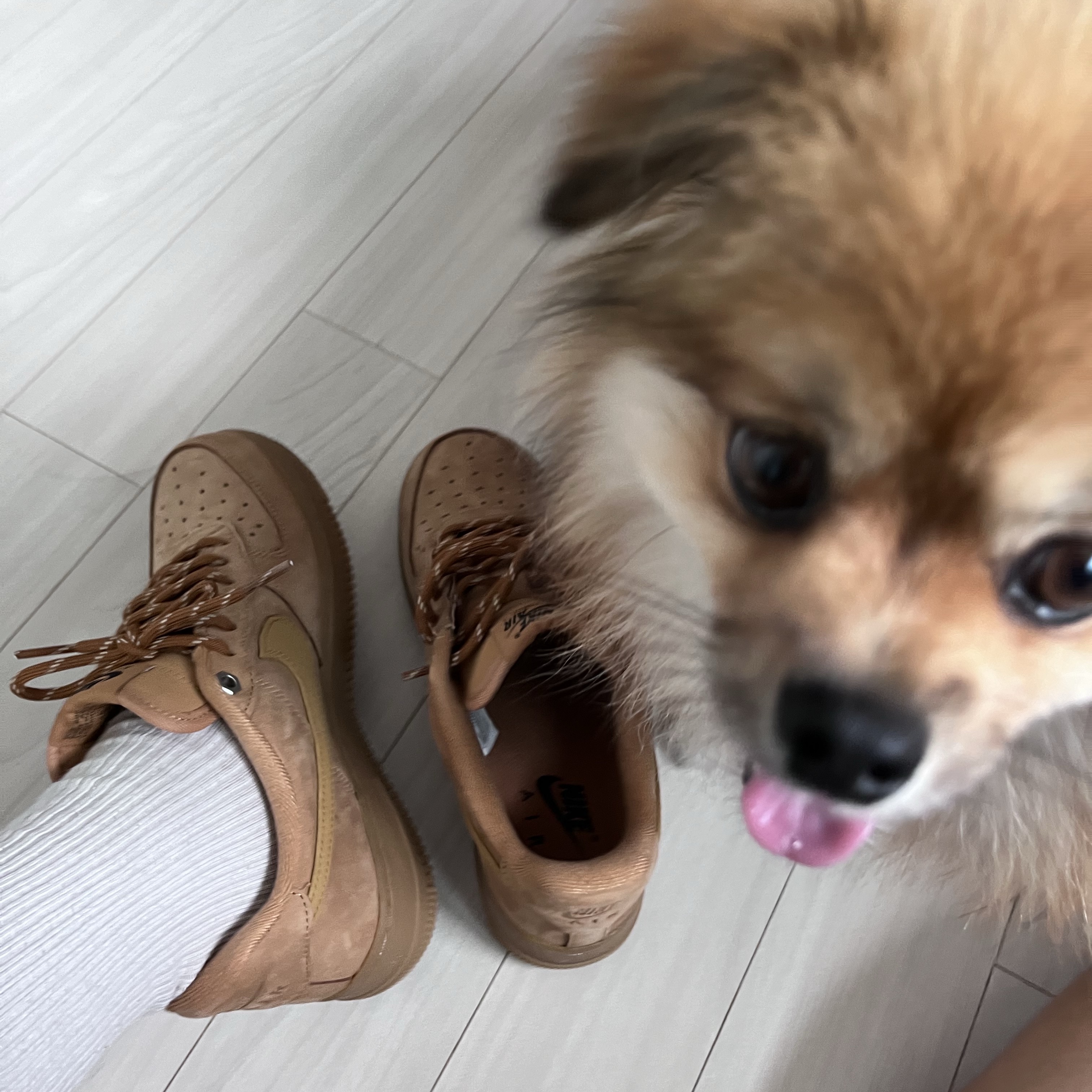 (W) Nike Air Force 1 '07 WB Flax Wheat 착용 스타일 - 3