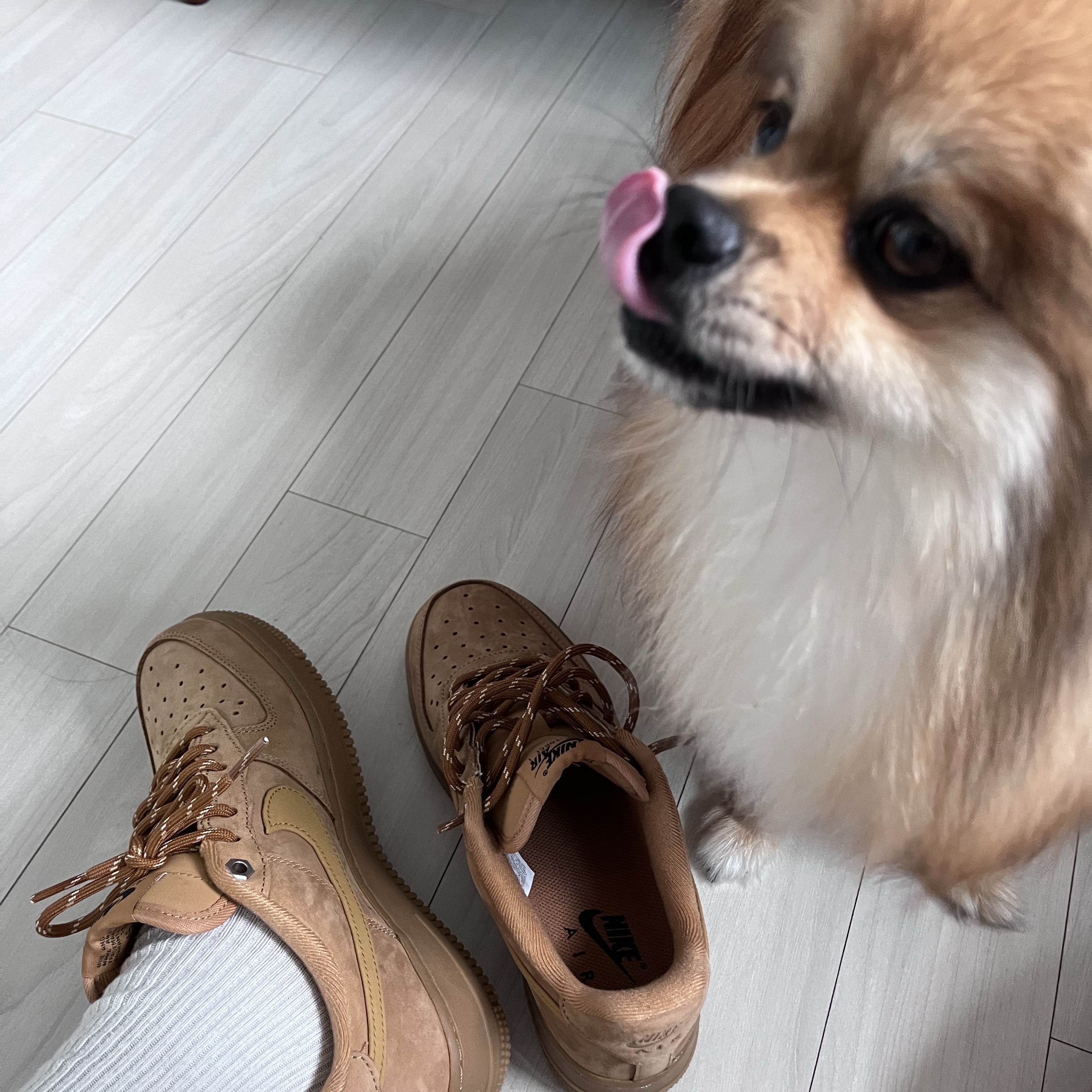 (W) Nike Air Force 1 '07 WB Flax Wheat 착용 스타일 - 4