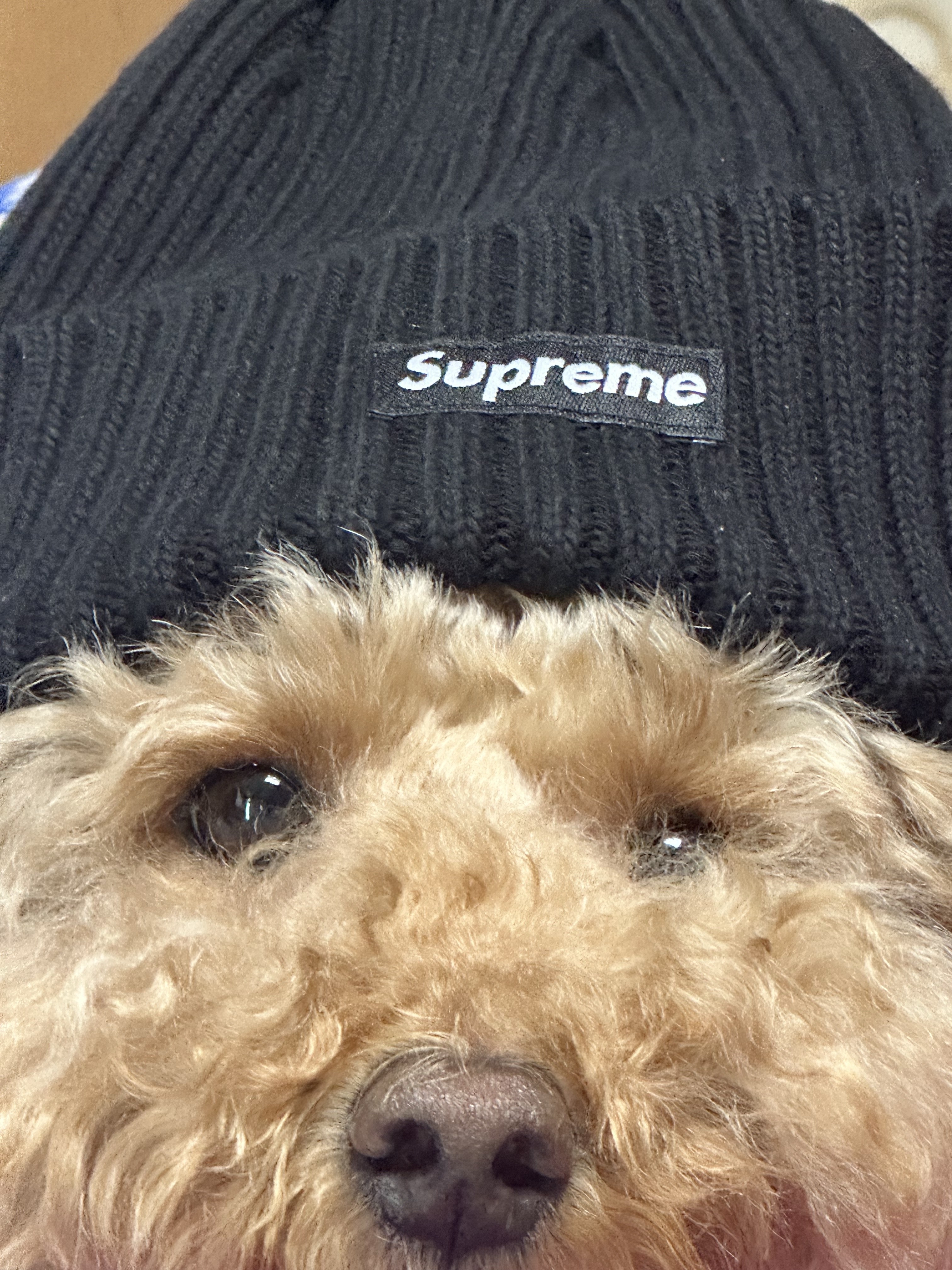 Supreme Overdyed Beanie Black 착용 스타일 - 2
