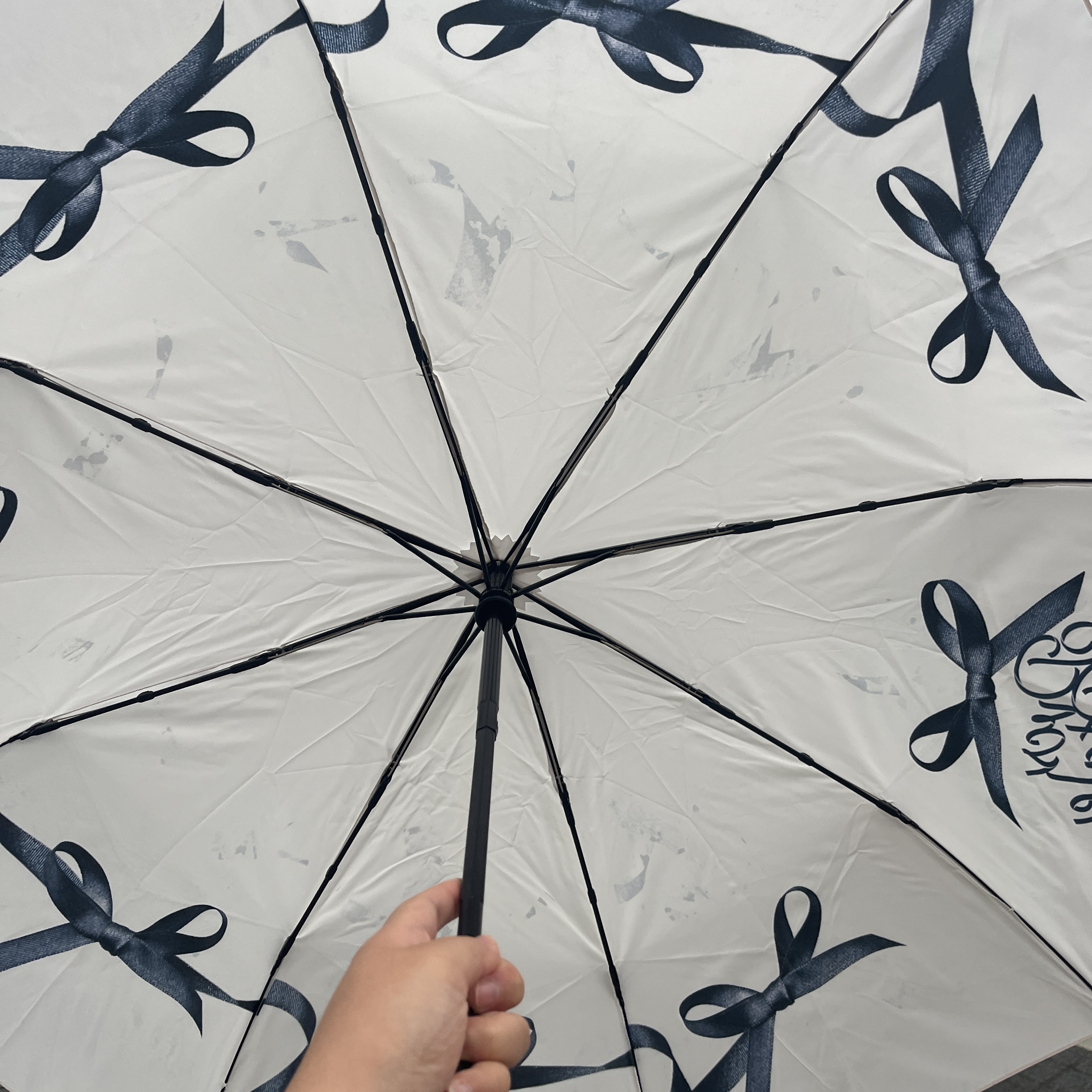 [KREAM 단독] PVCS x Bloomingtale Ribbon Point Folding Umbrella+Eco Bag Cover 착용 스타일