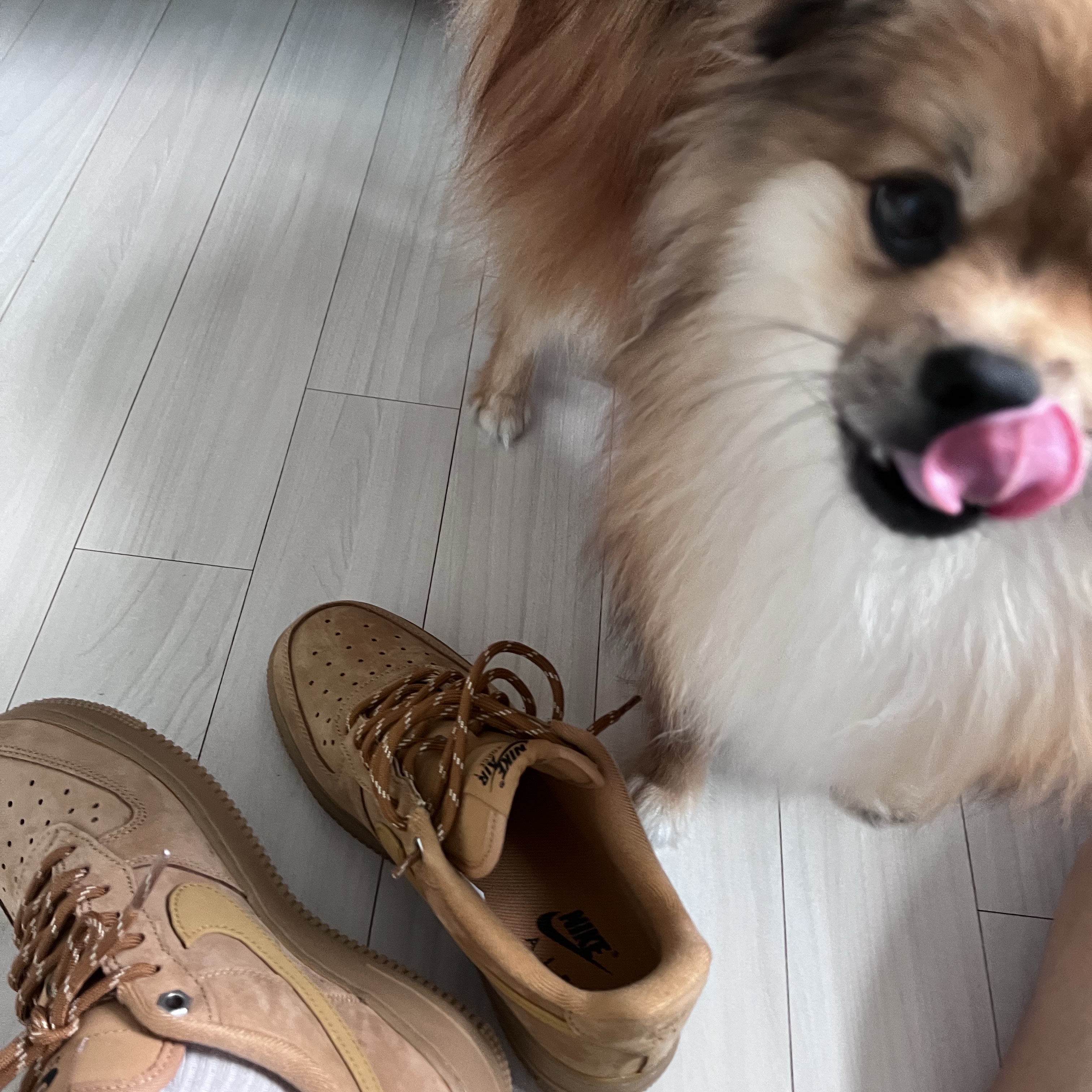 (W) Nike Air Force 1 '07 WB Flax Wheat 착용 스타일 - 2
