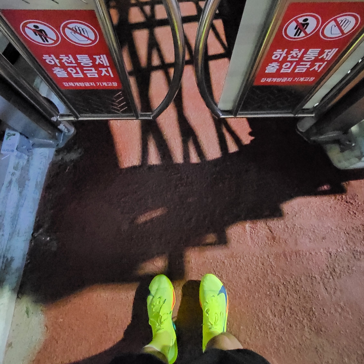 Nike Air Zoom Alphafly Next% 3 Volt 착용 스타일
