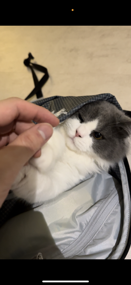 관심 유저 프로필 이미지