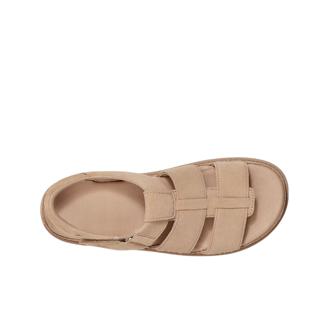 (W) 어그 골든스타 스트랩 플랫폼 샌들 드리프트우드((W) UGG Goldenstar Strap Platform Sandal Driftwood) - 2
