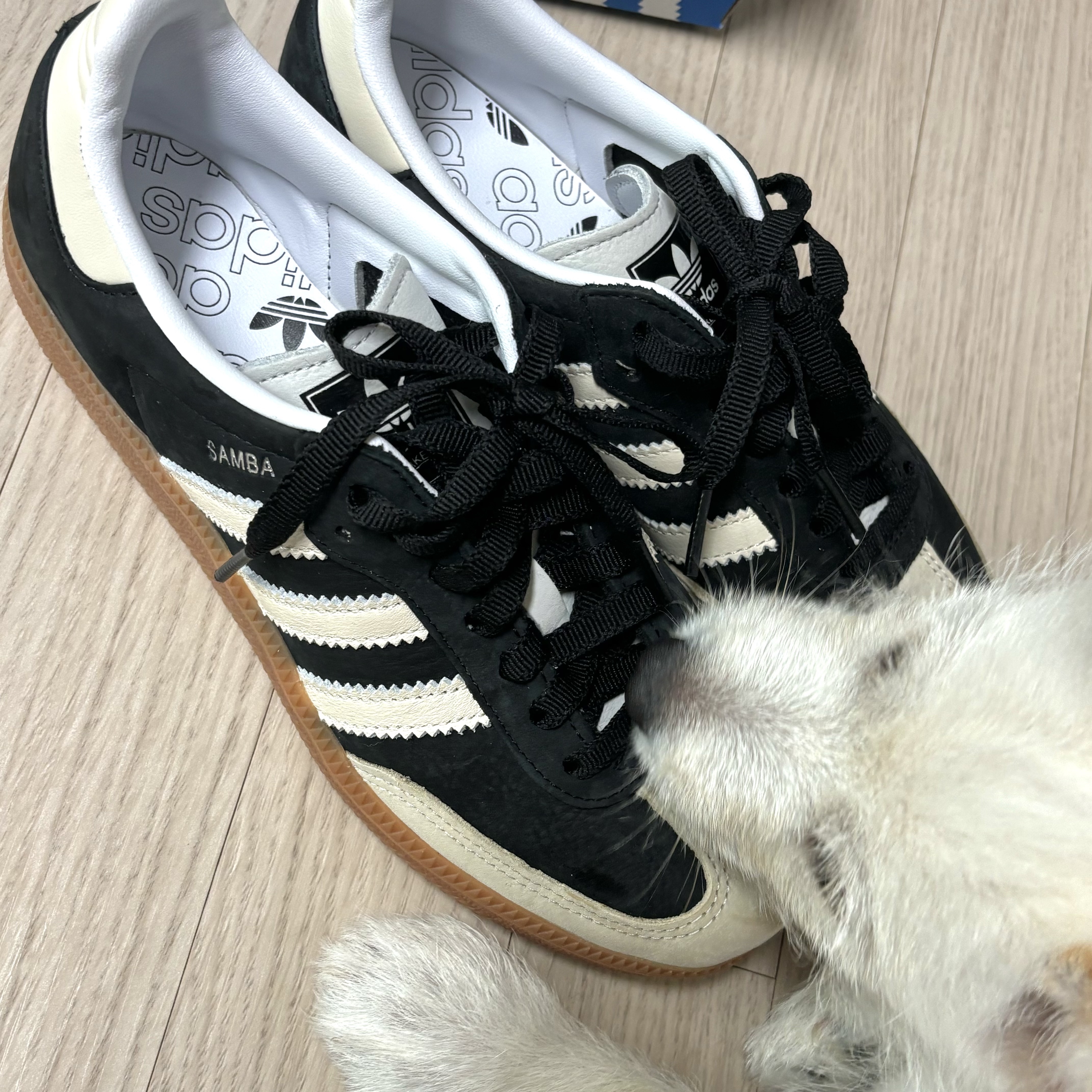 (W) Adidas Samba OG Core Black Wonder White 착용 스타일 - 1