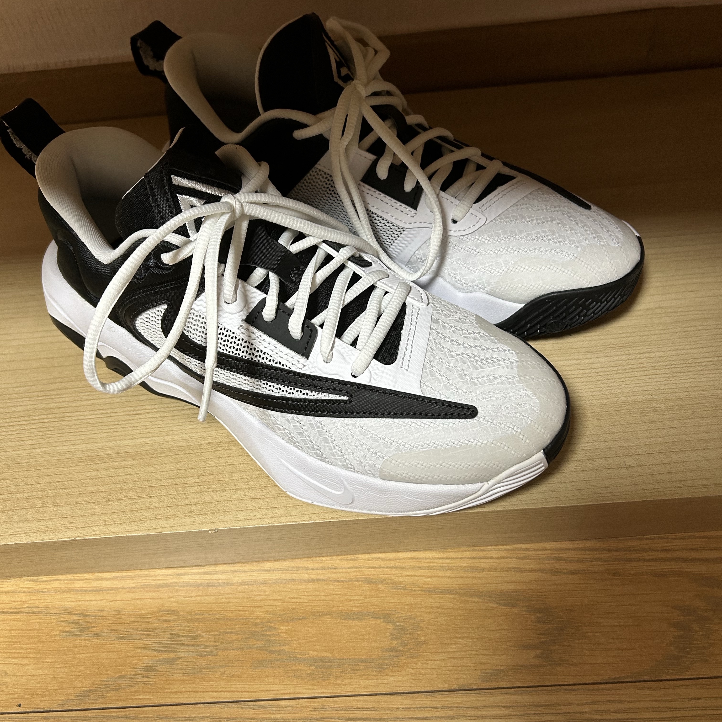 Nike Giannis Immortality 3 EP White Black 착용 스타일