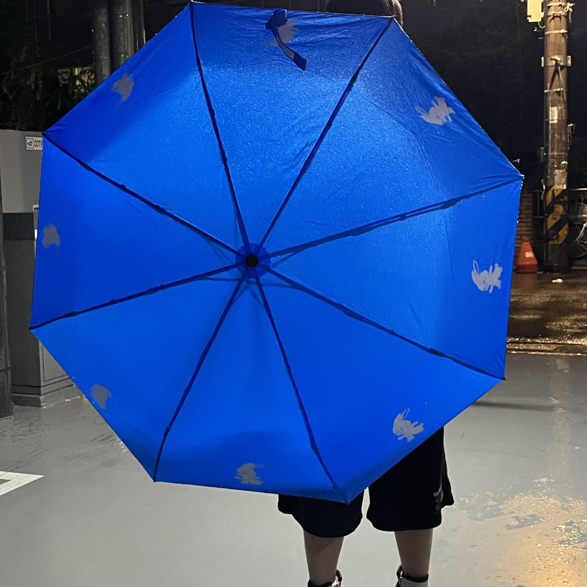NewJeans Tokki 3 Tier Umbrella Blue, Moonstar 810s ET027 Marke Modi White 착용 스타일