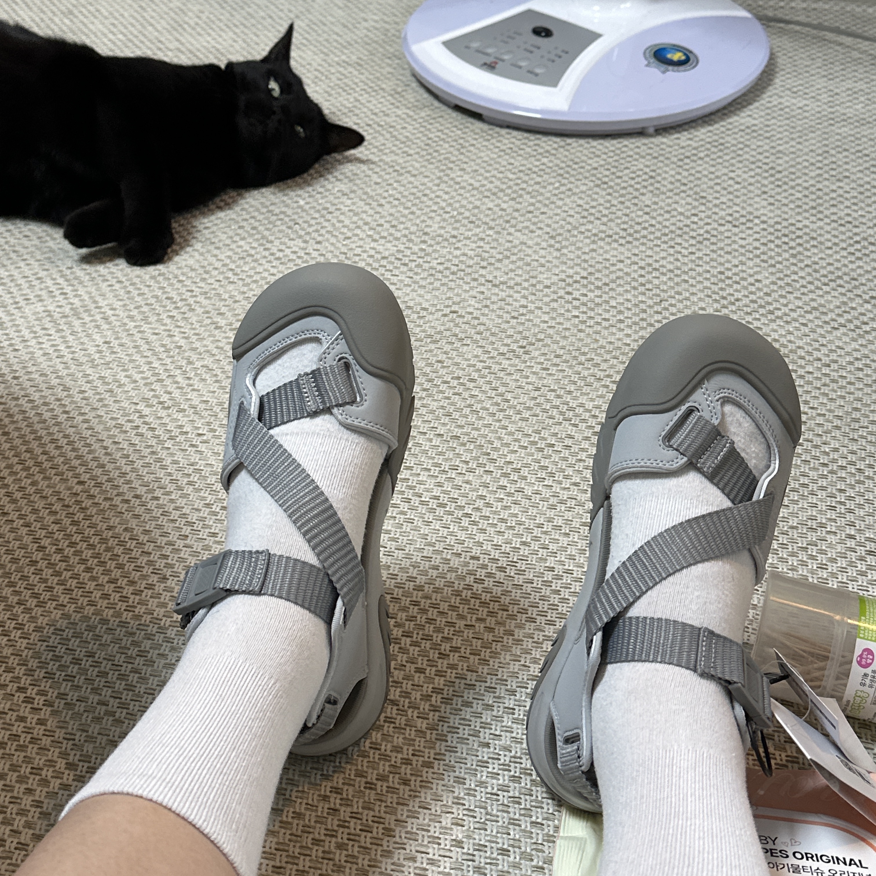Fila Peito Sandal Grey 착용 스타일