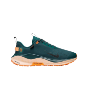 Nike ReactX Infinity Run 4 Gore-Tex Deep Jungle Geode Teal