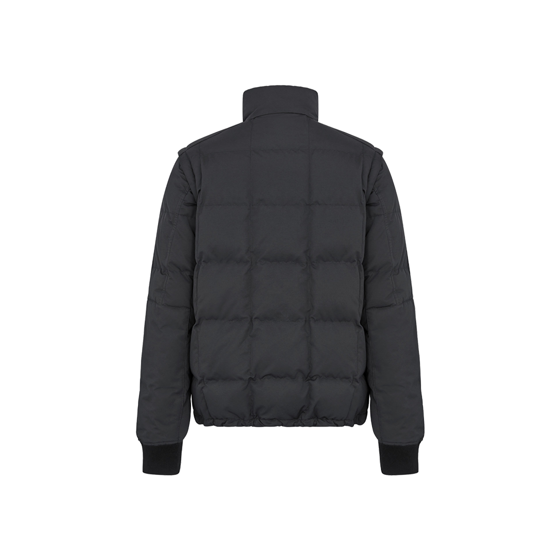 Dior Peter Doig Ski Jacket Black Blend Ottoman 상세 이미지 2