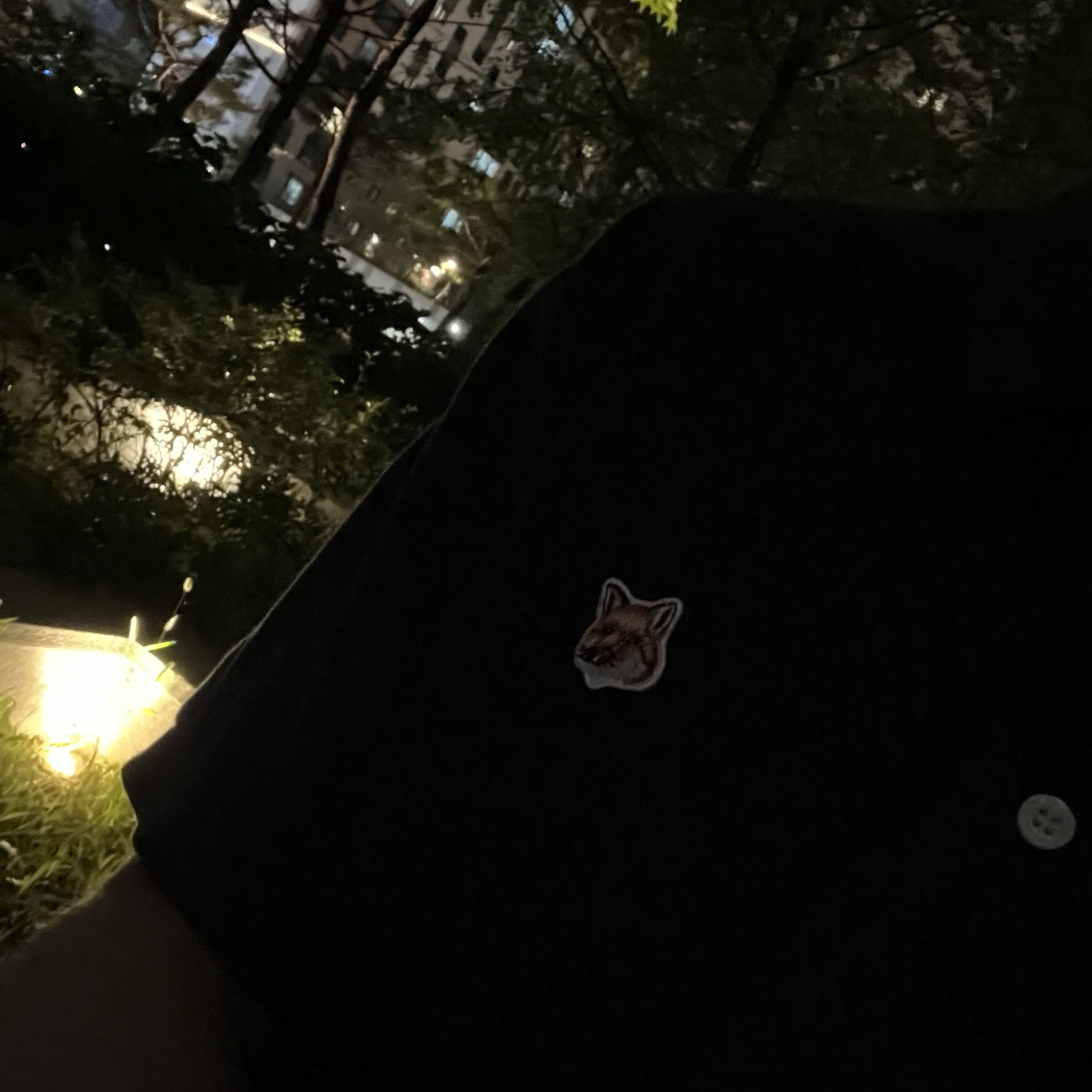Maison Kitsune Fox Head Patch Classic Polo Navy, Gucci GG Marmont Leather Belt with Double G Buckle Black Brass 착용 스타일 - 3