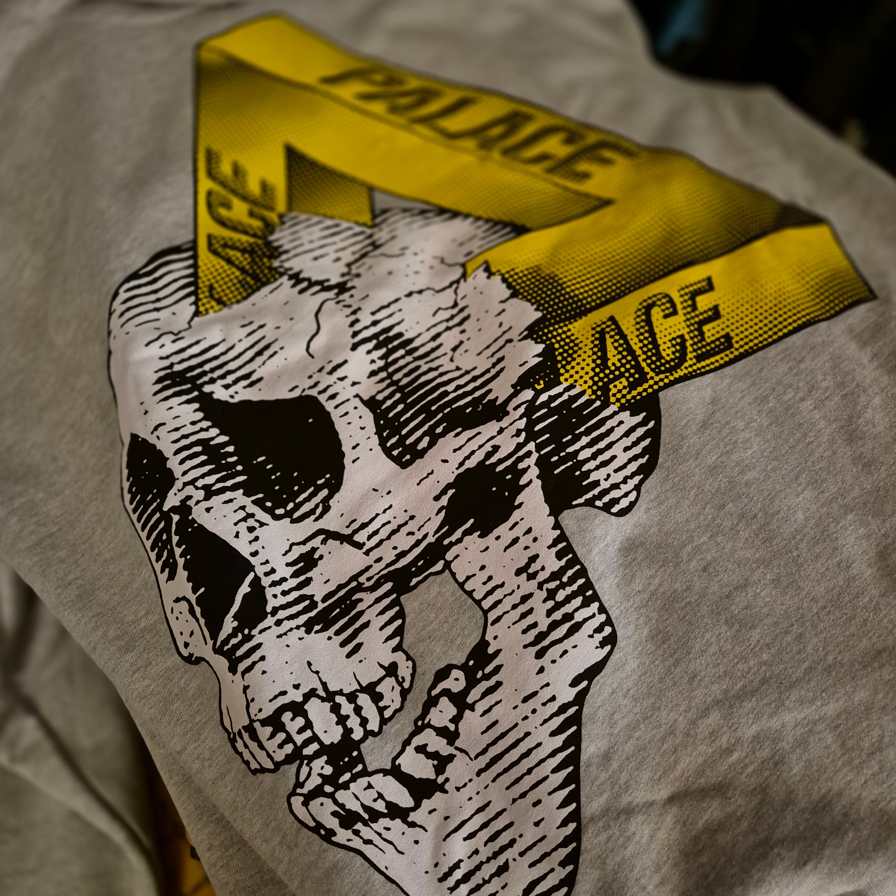 Palace Tri-Crusher Hood Grey - 20FW 착용 스타일