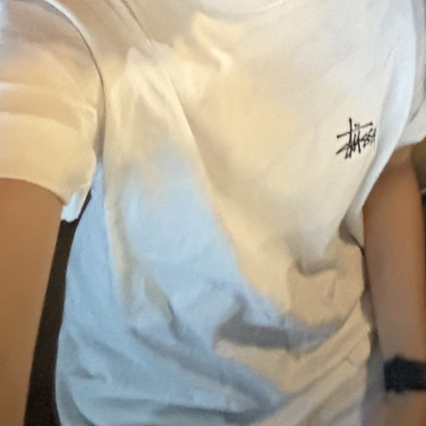 Stussy Basic Stussy T-Shirt White 2024, 2025 착용 스타일