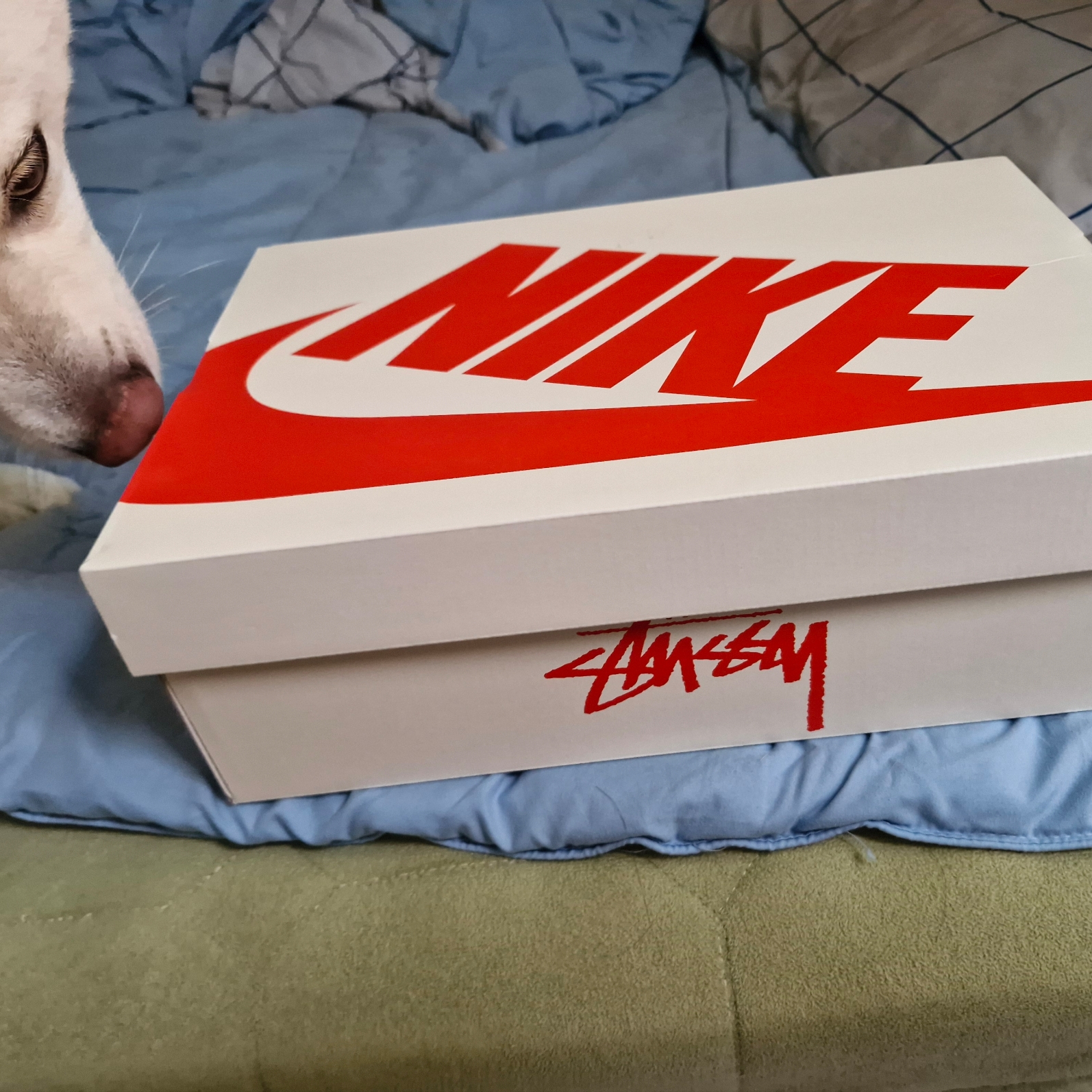 Nike x Stussy LD-1000 SP Phantom Aquarius Blue 착용 스타일 - 1