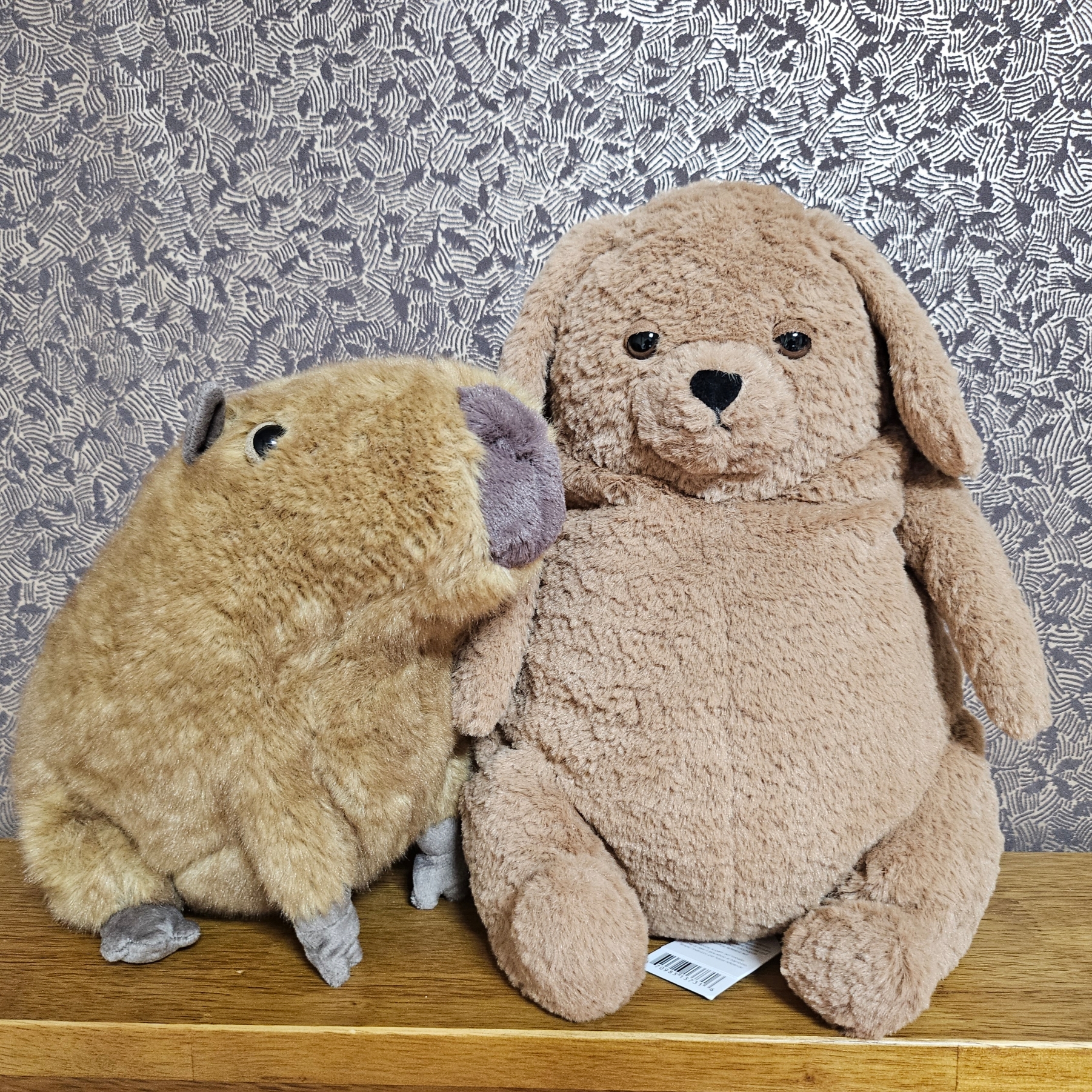 Jellycat Clyde Capybara Brown, Jellycat Amore Dog Brown 착용 스타일