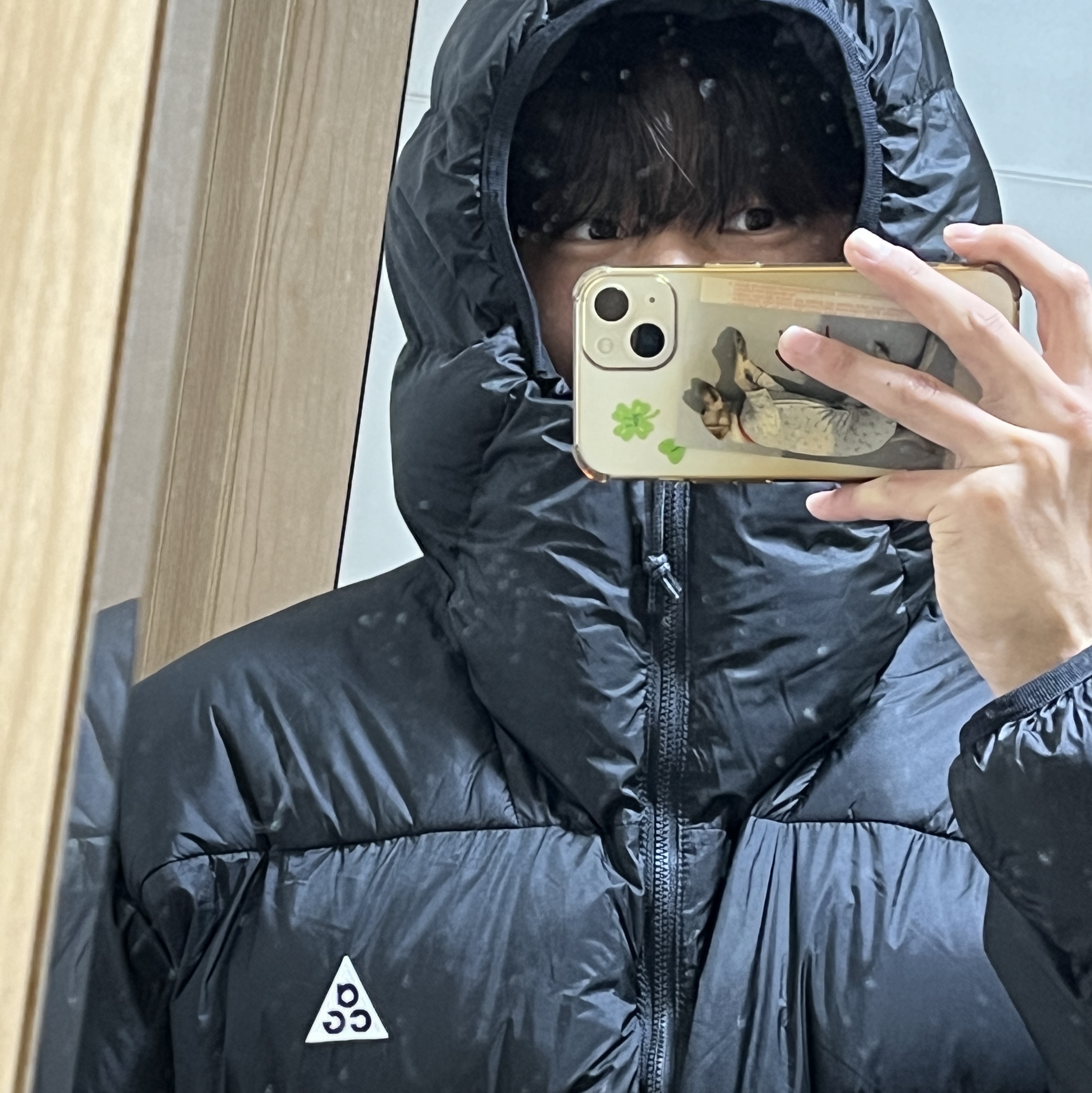 Nike ACG Therma-Fit ADV Lunar Lake Puffer Jacket Black - Asia 착용 스타일 - 2