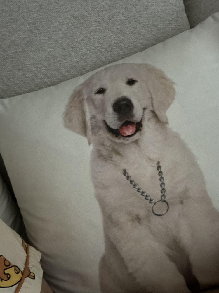 관심 유저 프로필 이미지