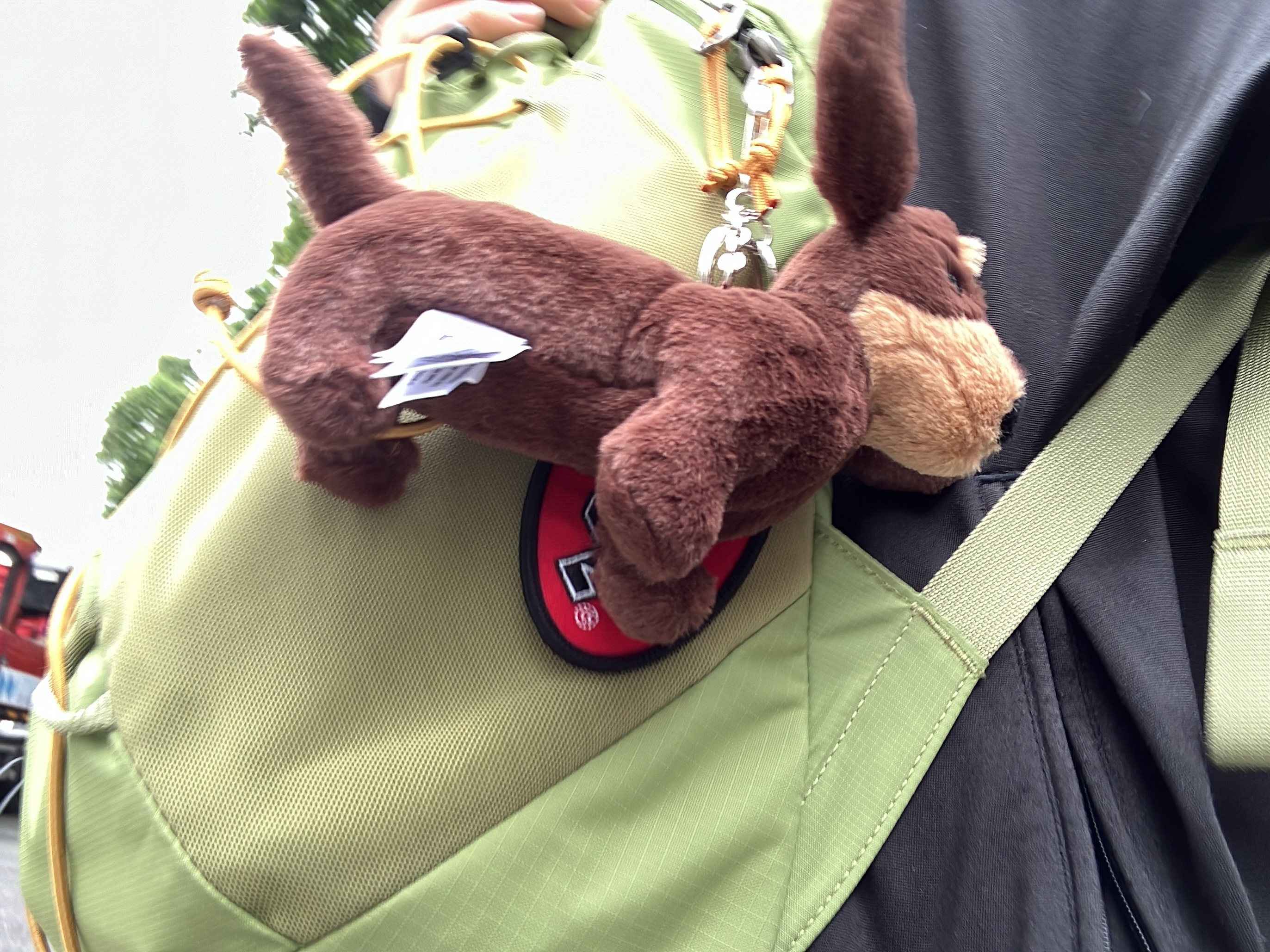 Jellycat Otto Sausage Dog Bag Charm Brown 착용 스타일 - 4