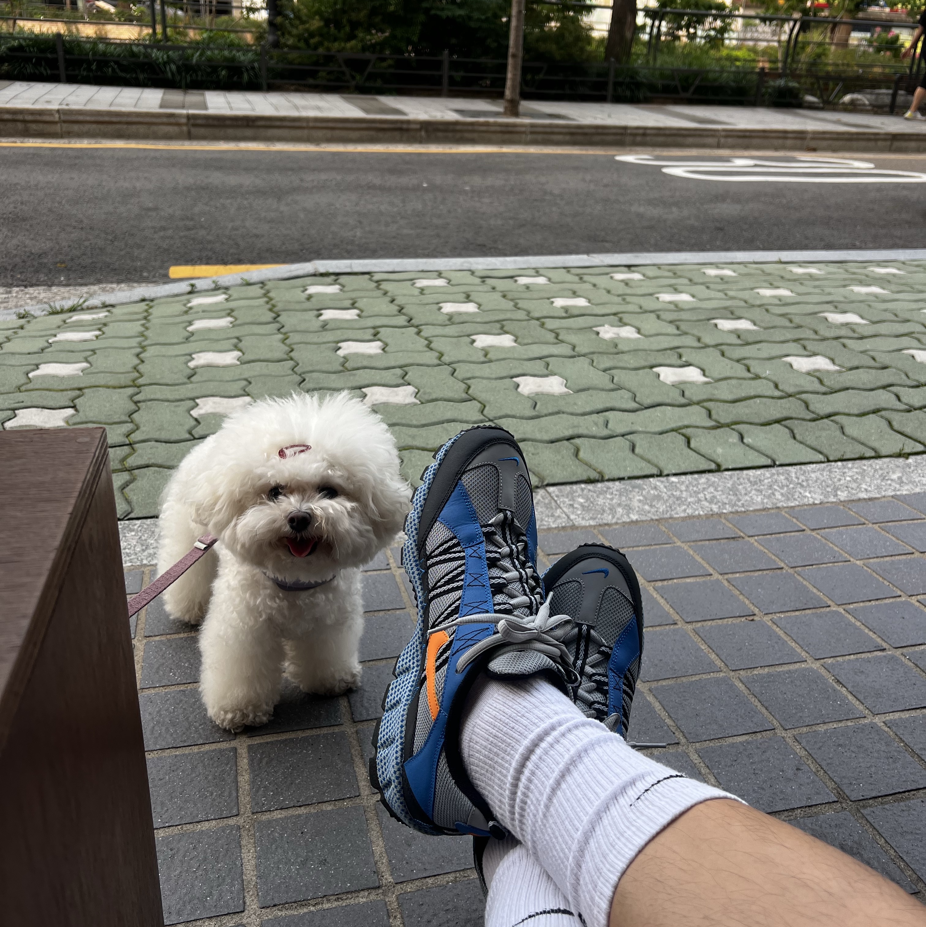 Nike Air Humara 17 Silver Blue Spark, Our Legacy Work Shop Nylon Taffeta Running Shorts Black 착용 스타일 - 3