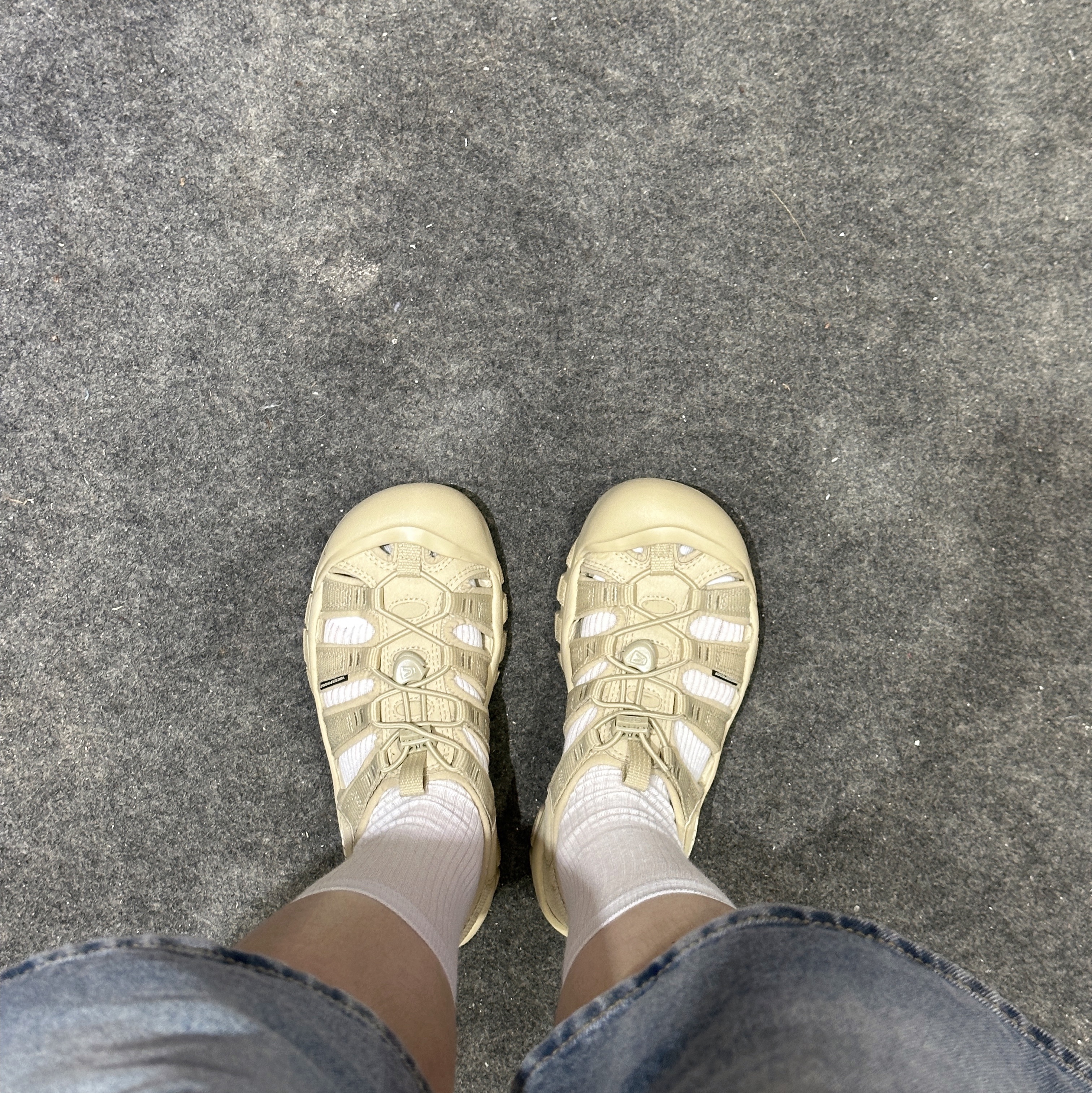 (W) Keen Newport H2 Monochrome Safari 착용 스타일