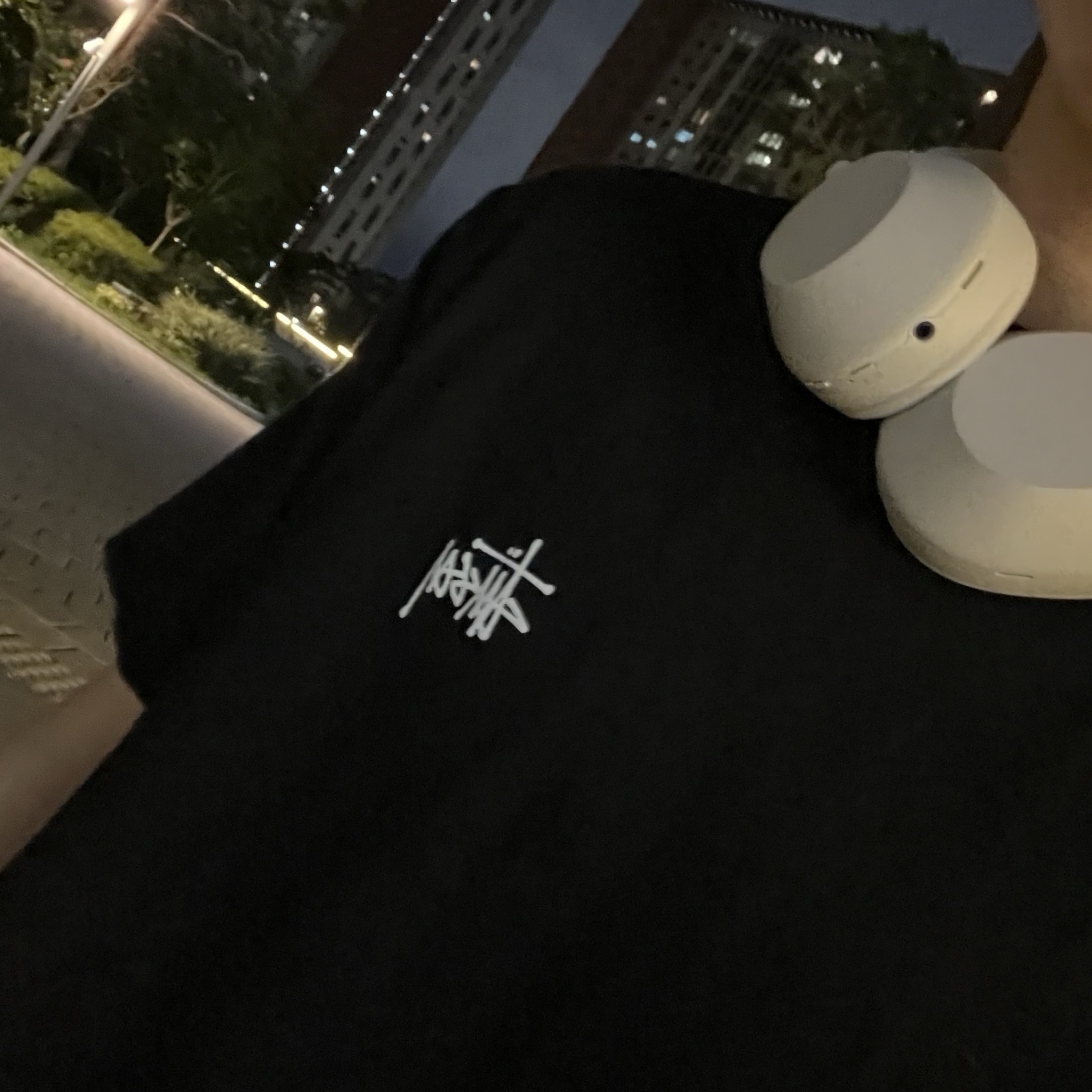 Stussy Basic Stussy T-Shirt Black 2022, Sony WH-1000XM5 Silver (Korean Ver.) 착용 스타일 - 1