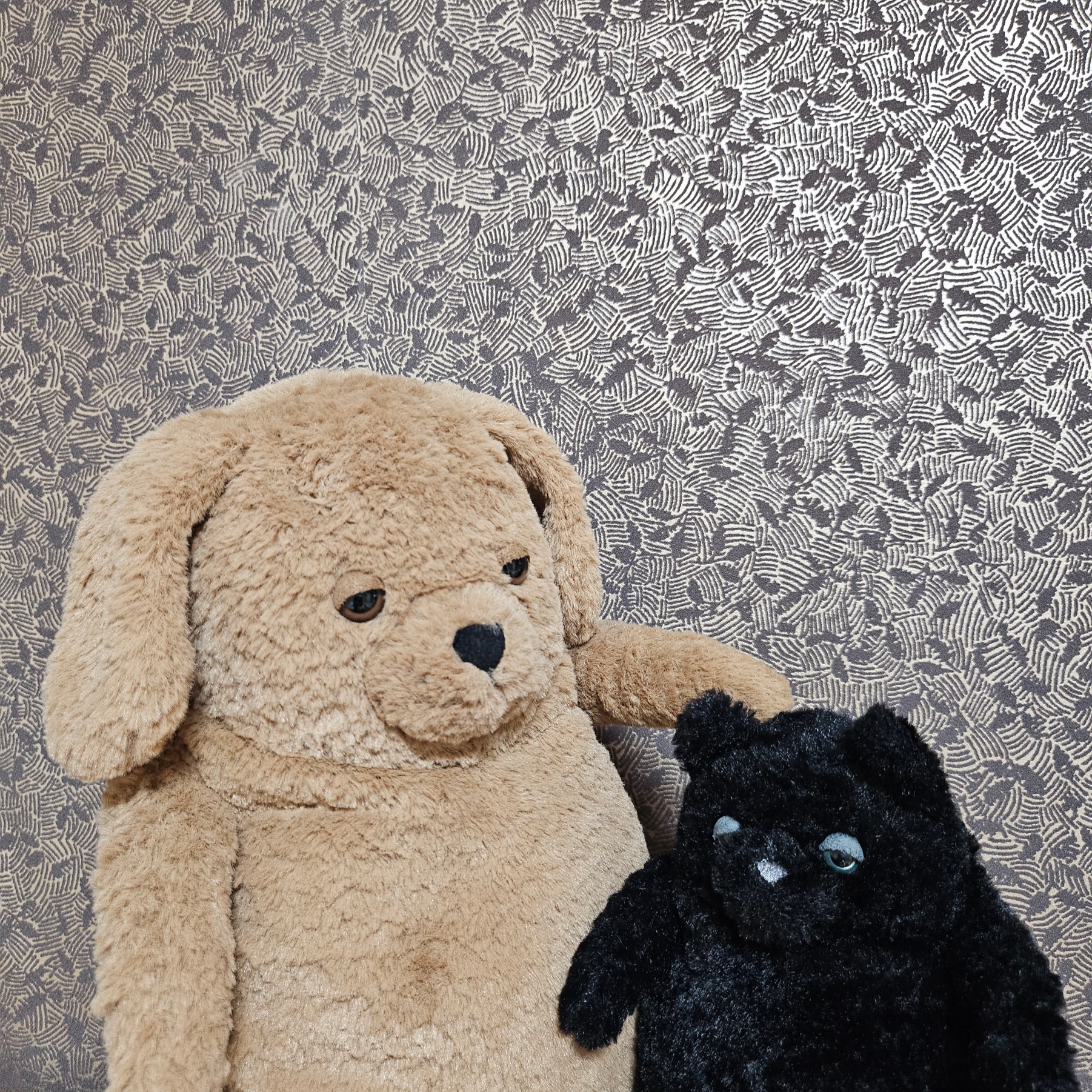 Jellycat Amore Cat Small Black 착용 스타일
