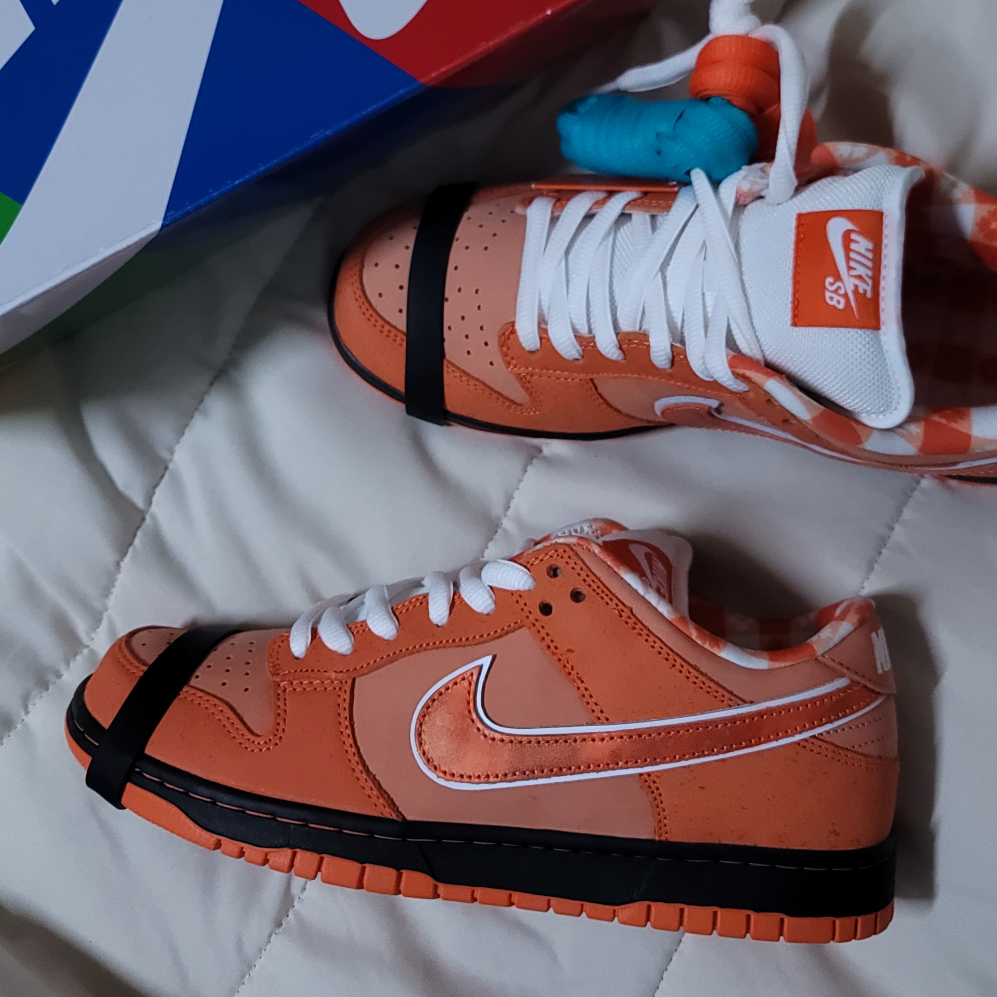 Nike x Concepts SB Dunk Low Orange Lobster (Regular Box) 착용 스타일