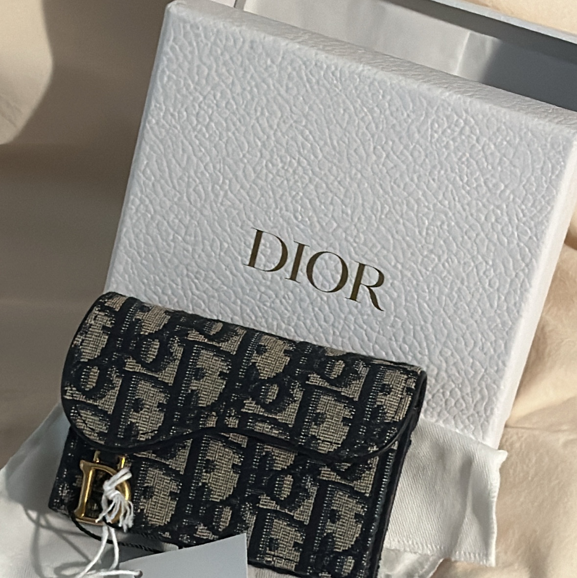 Dior Saddle Flap Card Holder Blue Dior Oblique Jacquard 착용 스타일