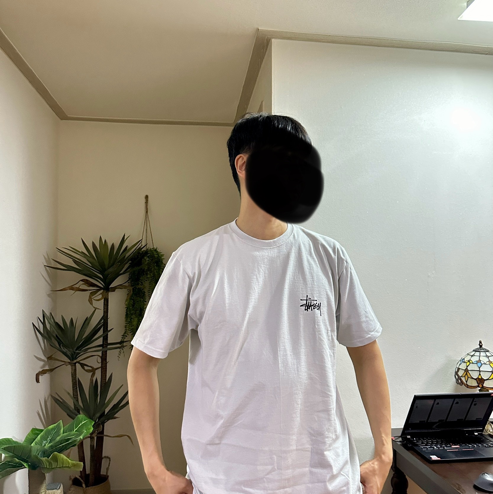 Stussy Basic Stussy T-Shirt Fog 2024 착용 스타일 - 2