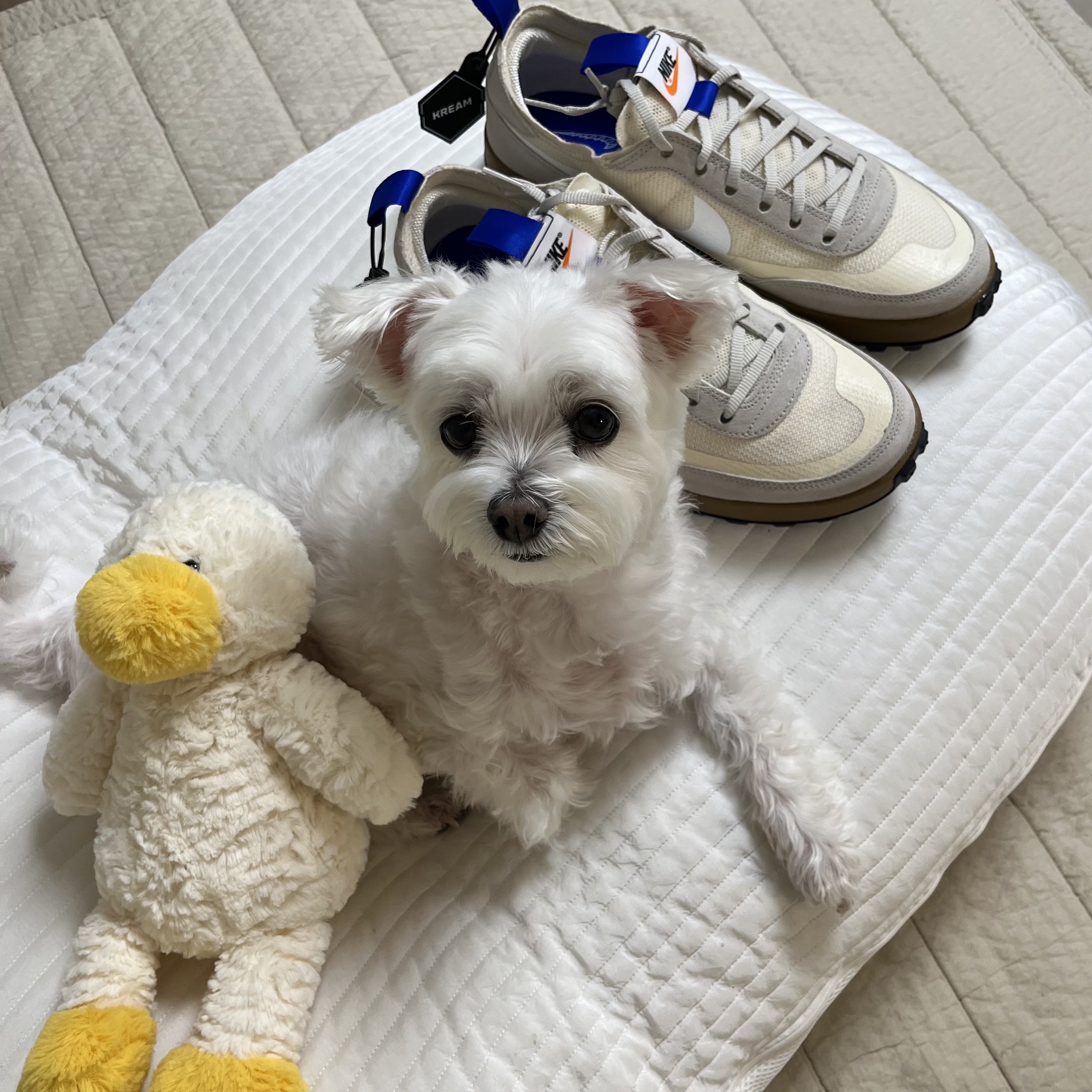 Nike x Tom Sachs General Purpose Shoe Light Cream 착용 스타일