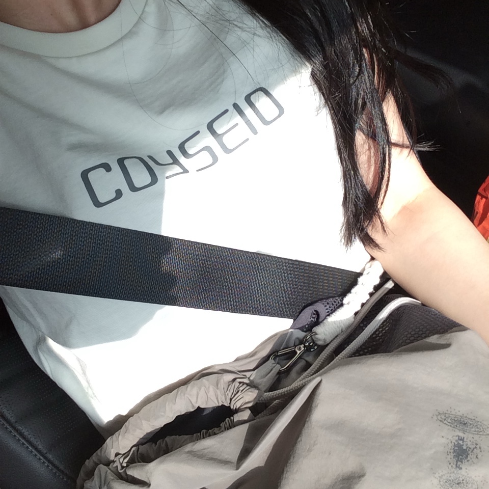 Coyseio Logo T-Shirt Lemon 착용 스타일 - 2