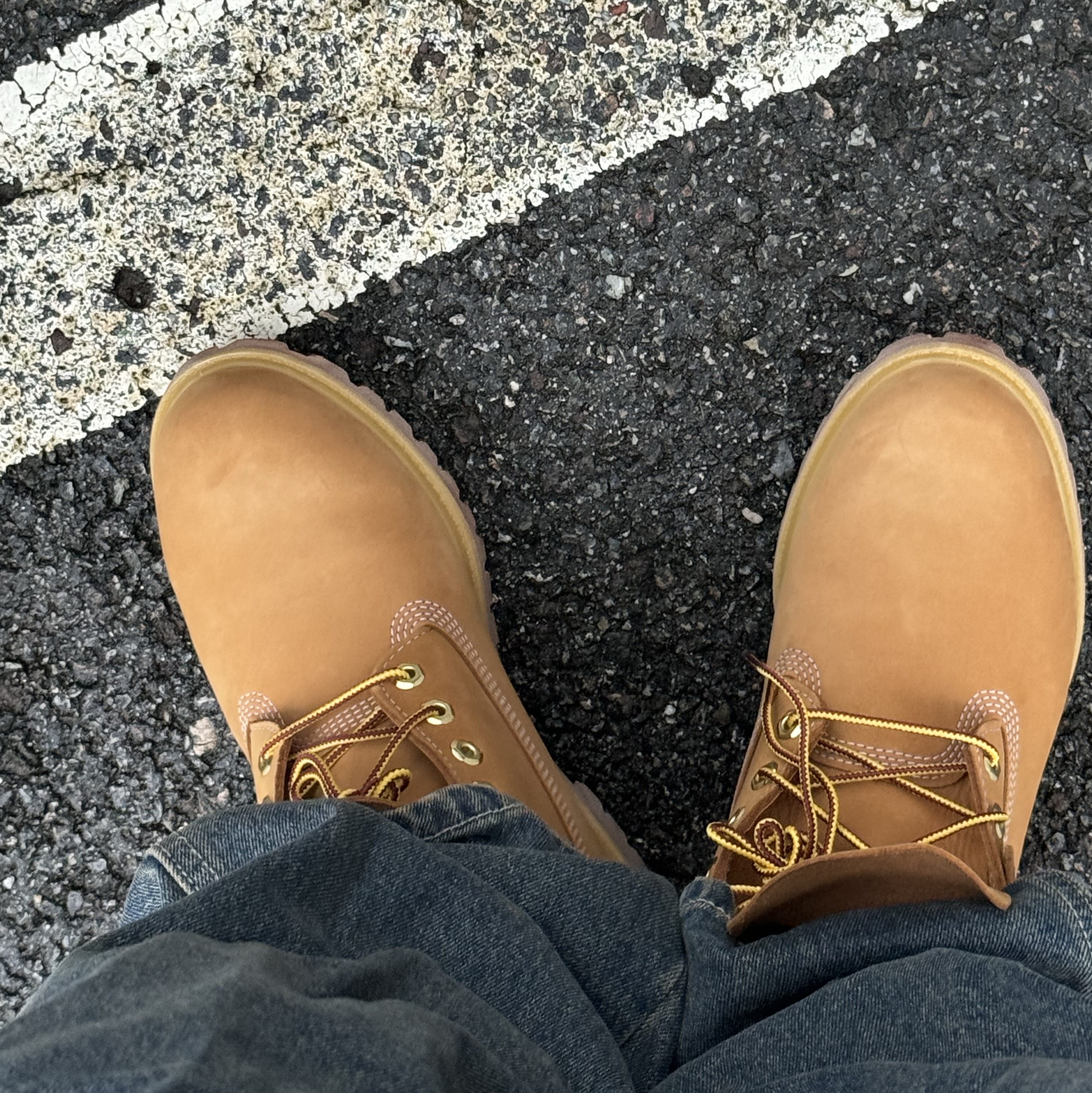 Timberland Premium 6 inch Waterproof Boot Wheat Nubuck - Wide 착용 스타일