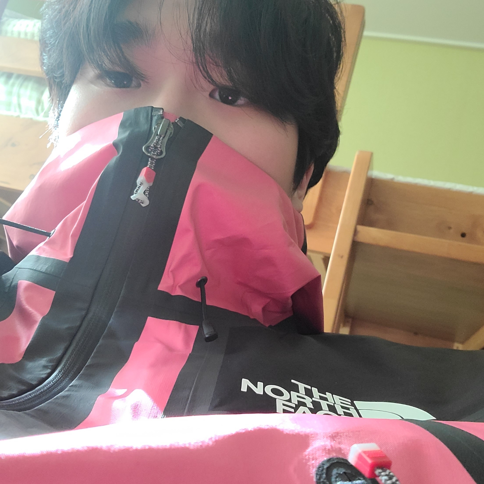 Supreme x The North Face Summit Series Outer Tape Seam Jacket Pink - 21SS 착용 스타일