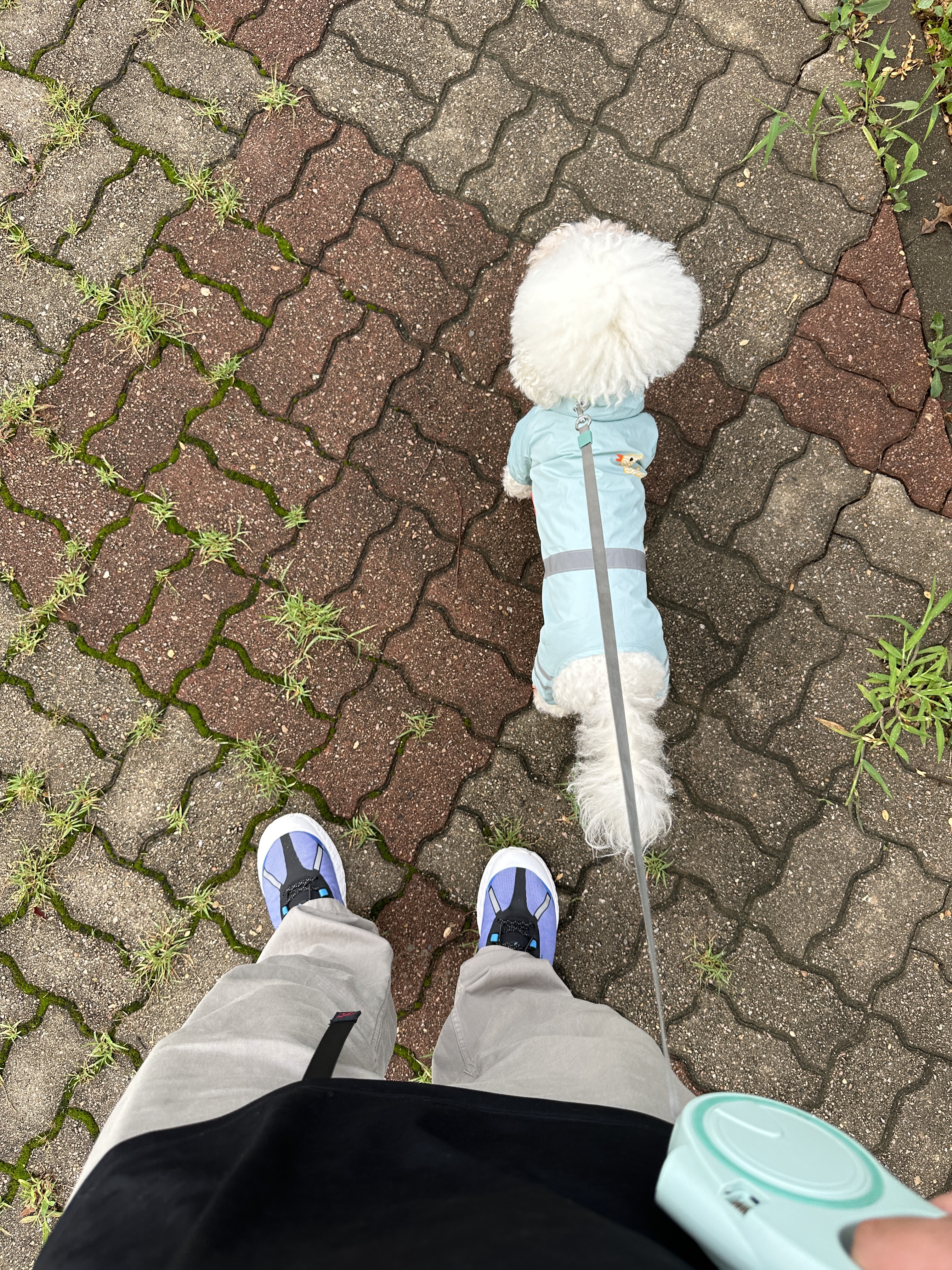 Norda x Ray Zahab 001 Azure Blue 착용 스타일