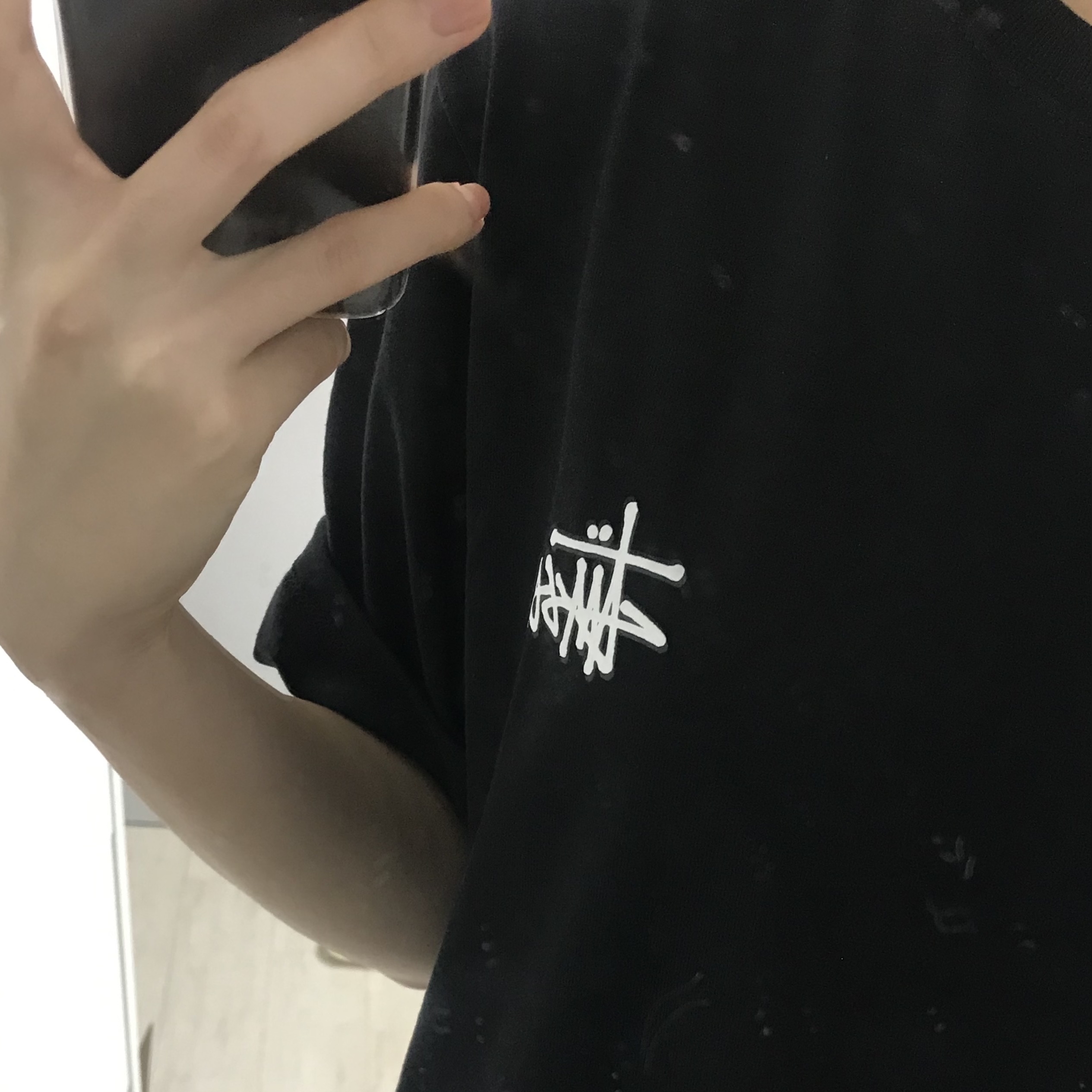 Stussy Basic Stussy T-Shirt Black 2024, 2025 착용 스타일