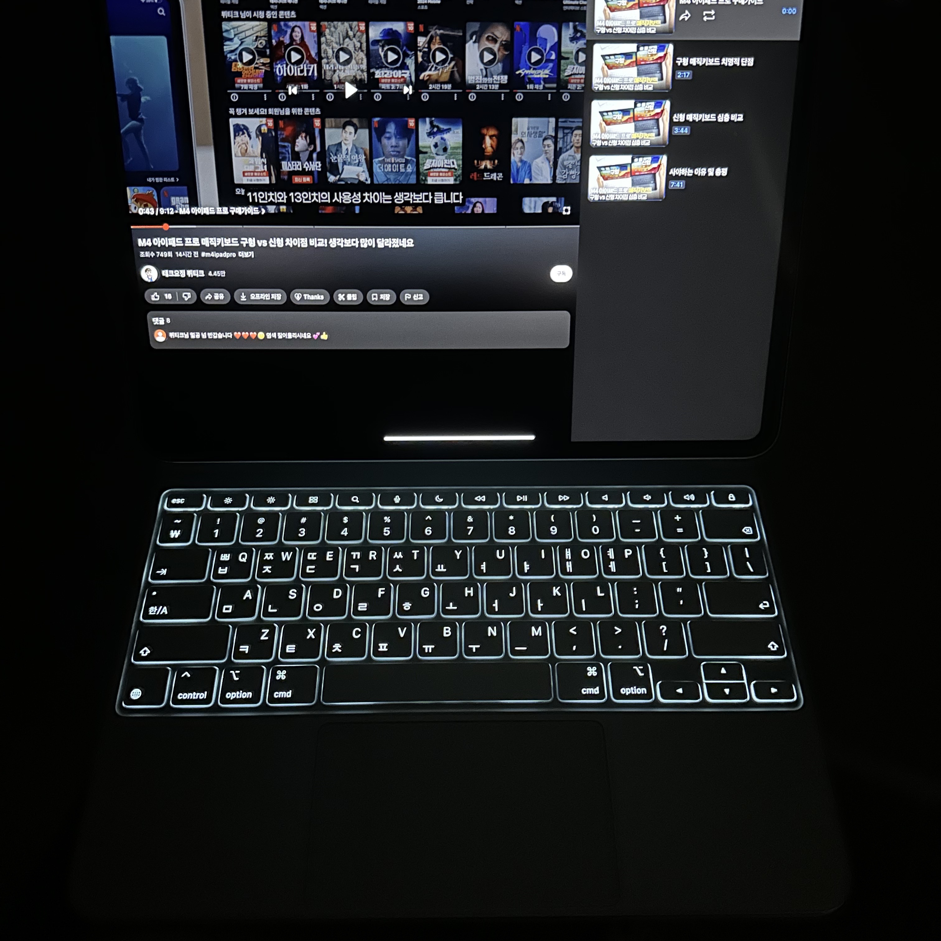 Apple iPad Pro 7th Gen 13-inch Cellular 256GB Standard Glass Space Black (Korean Ver.) 착용 스타일