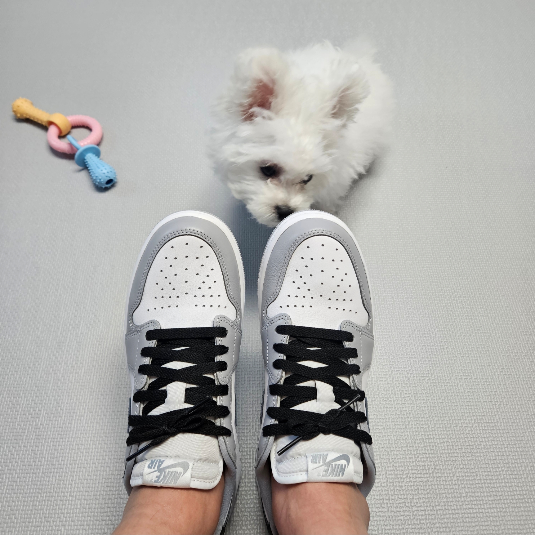 Jordan 1 Retro Low OG Wolf Grey and White 착용 스타일