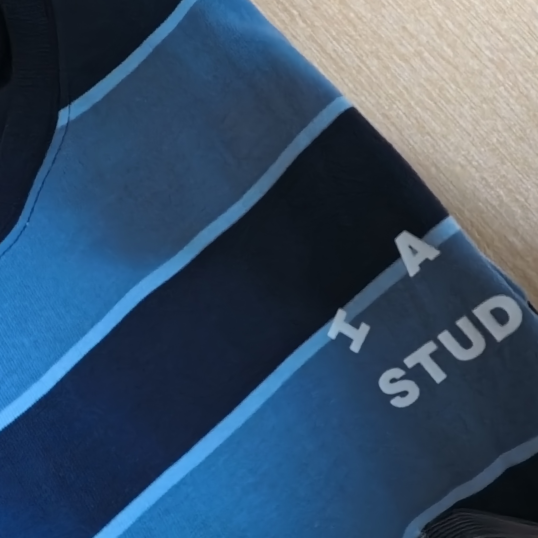 IAB Studio Striped T-Shirt Blue White 착용 스타일 - 1