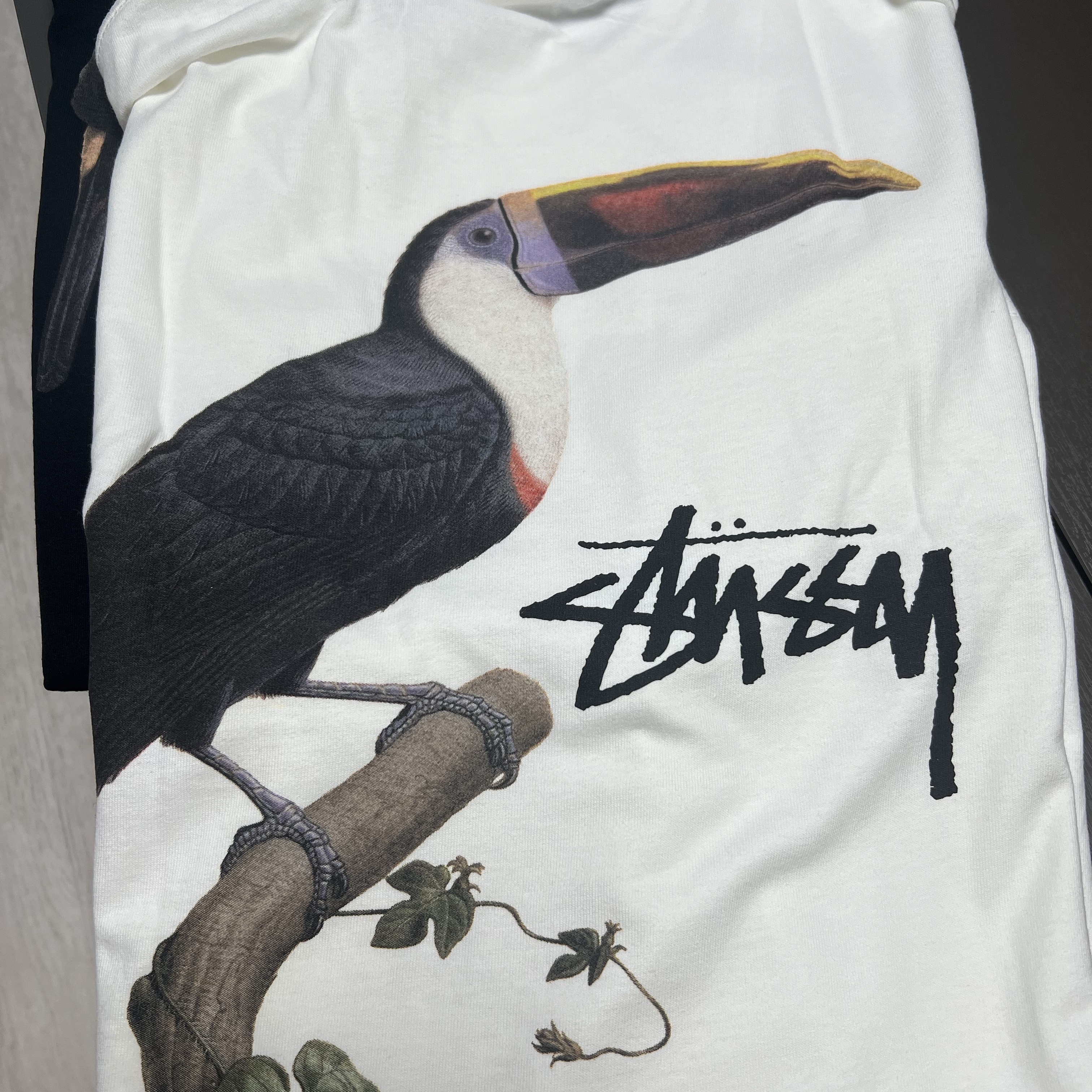 Stussy Toucan T-Shirt White 착용 스타일