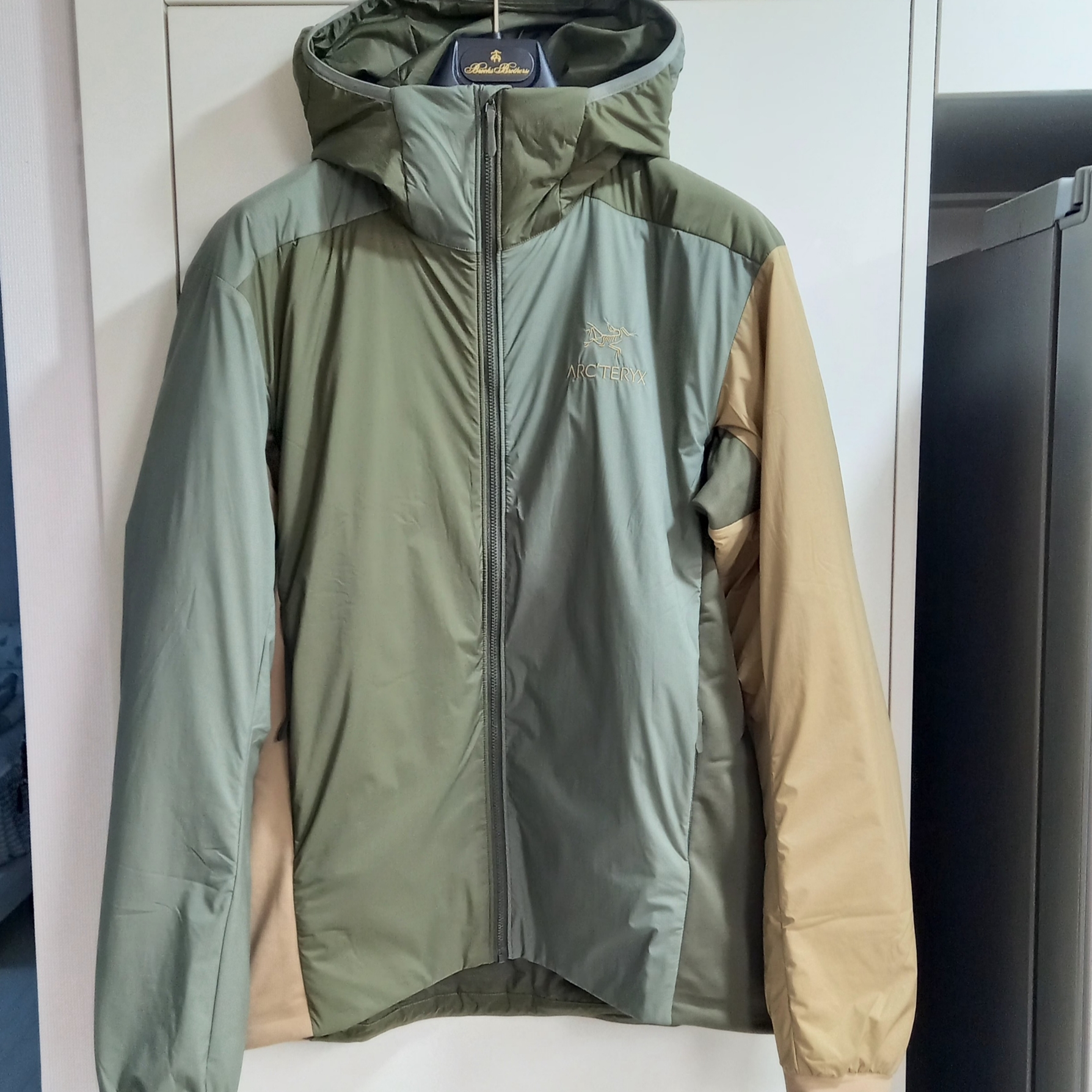 Arc'teryx Atom LT Hoody Tatsu Forage 착용 스타일 - 1