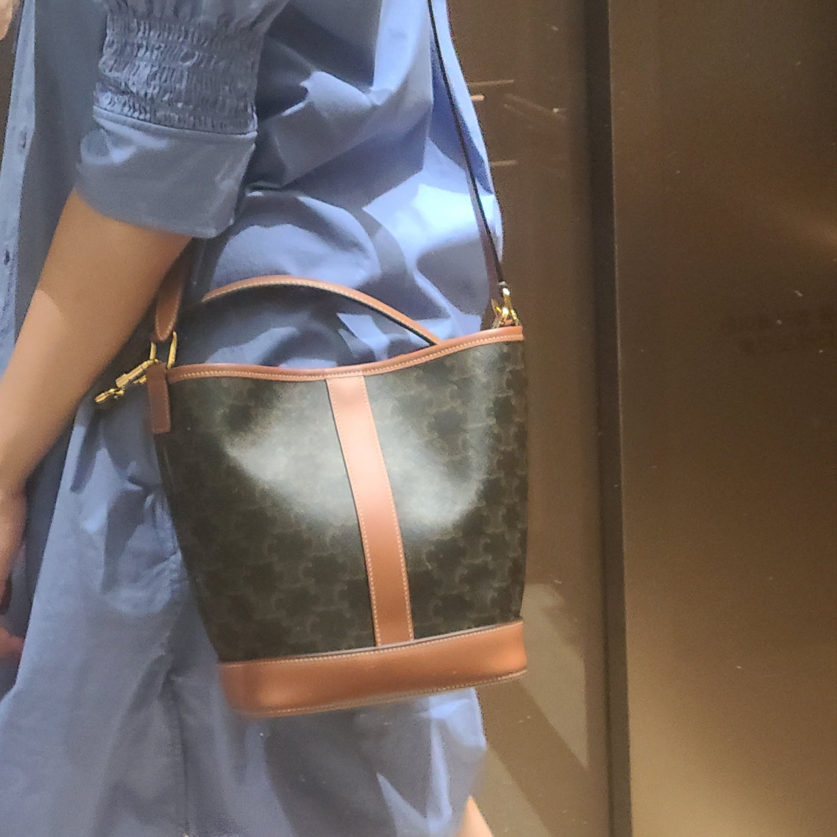 Celine Small Bucket in Triomphe Canvas and Calfskin Tan 착용 스타일