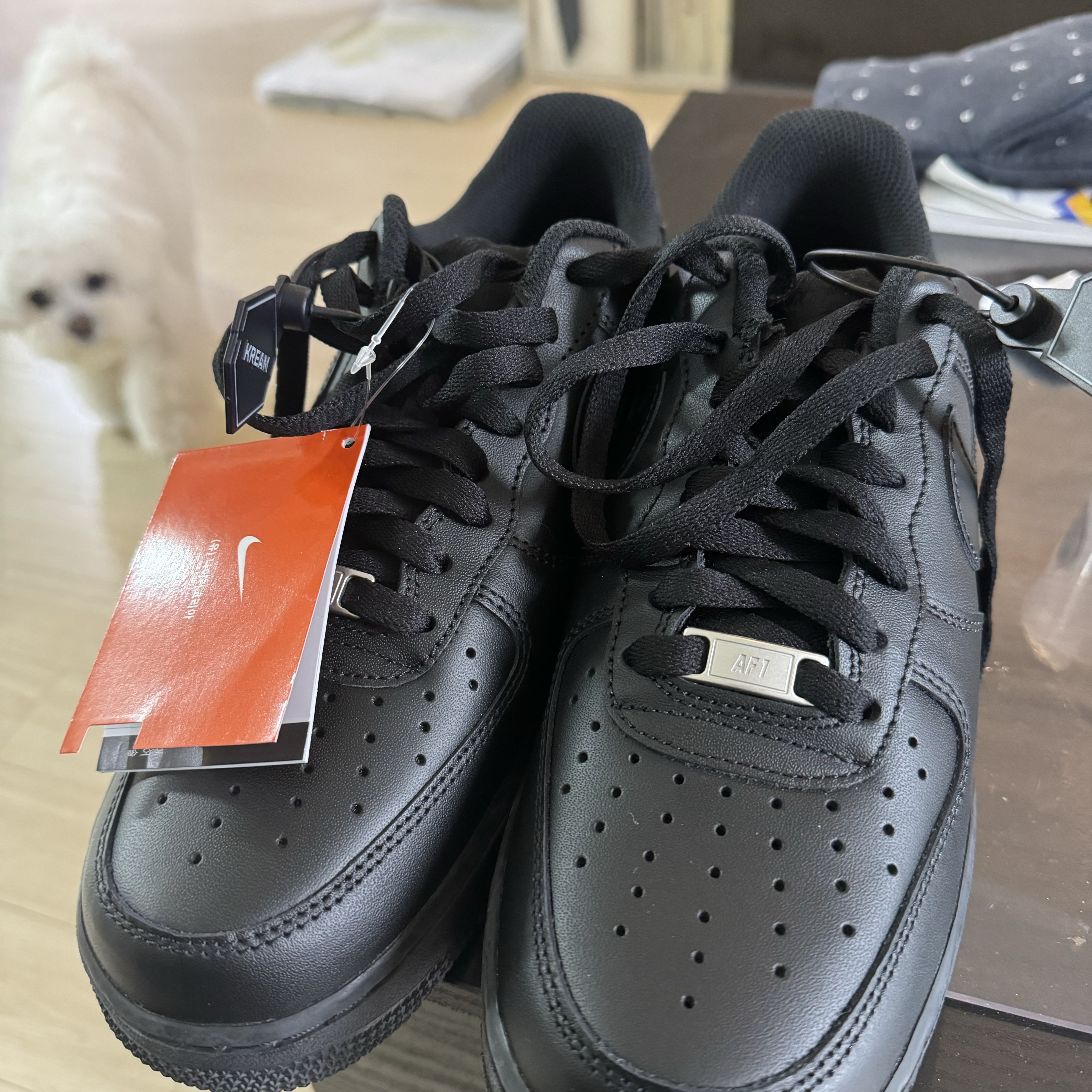 Nike Air Force 1 '07 Low Triple Black 착용 스타일