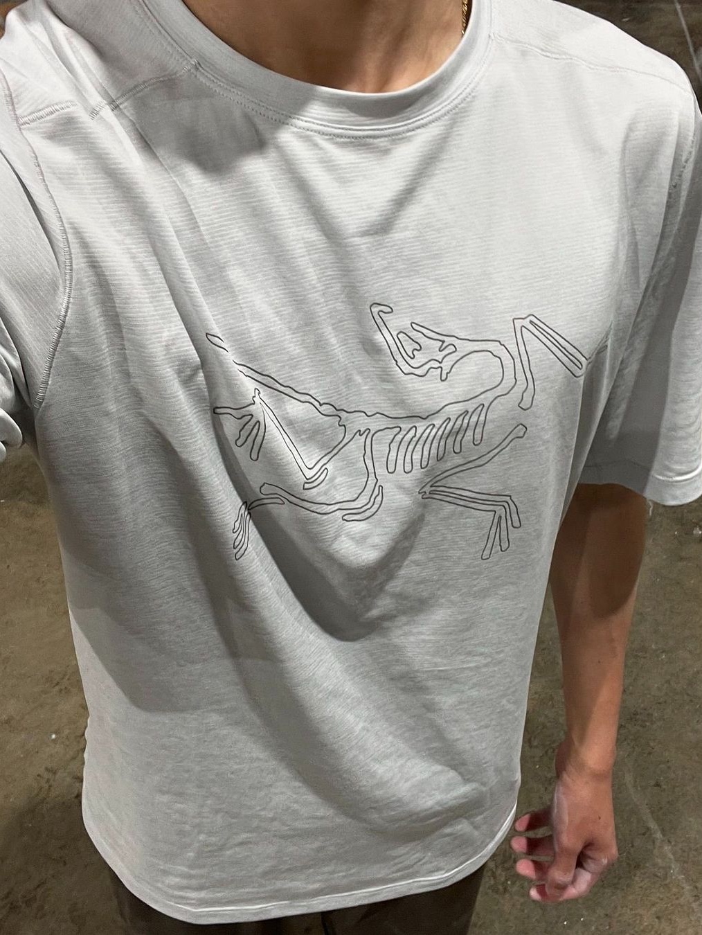 Arc'teryx Cormac Logo SS T-Shirt Black Heather, Arc'teryx Arc'word Logo SS T-Shirt Forage 착용 스타일 - 5