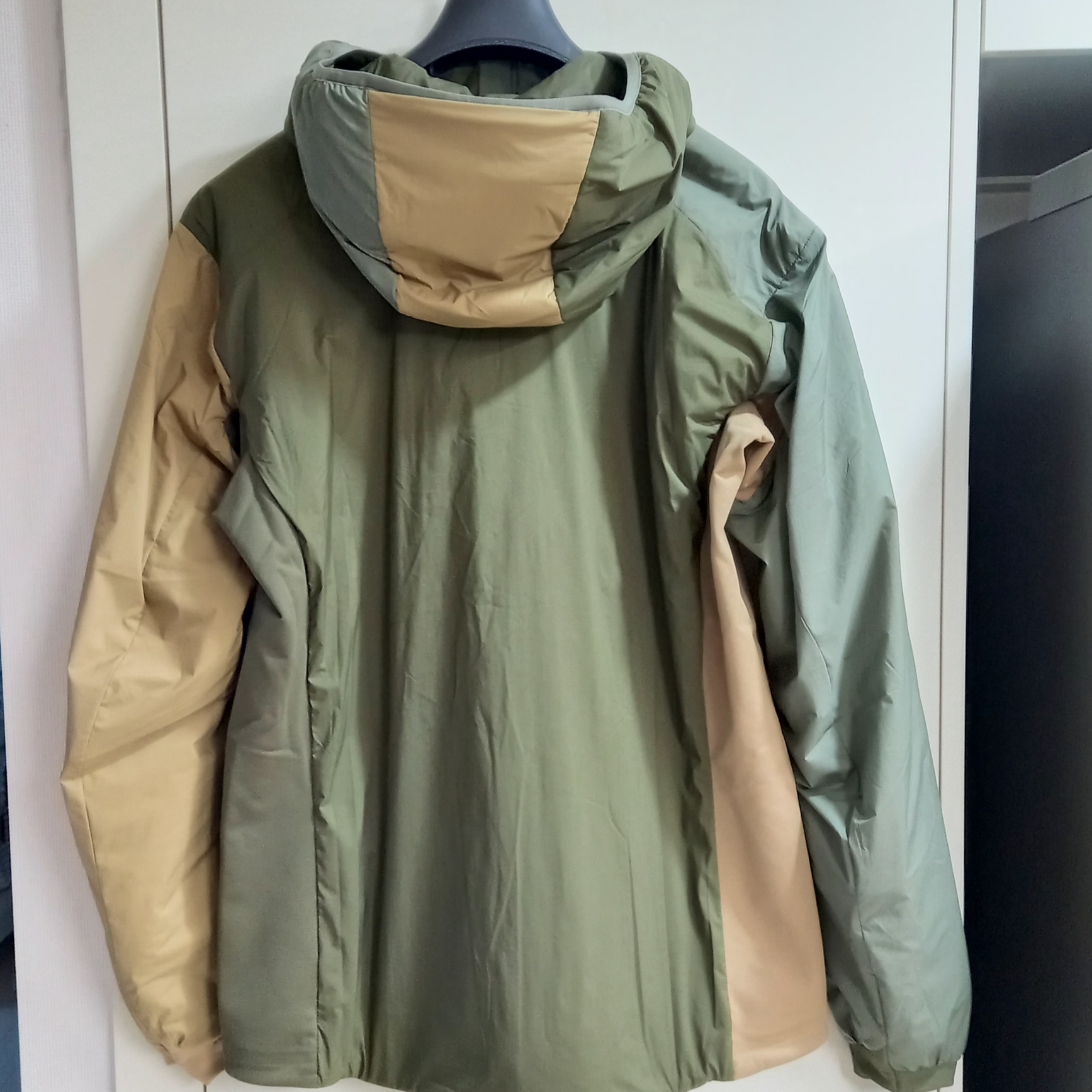 Arc'teryx Atom LT Hoody Tatsu Forage 착용 스타일 - 2
