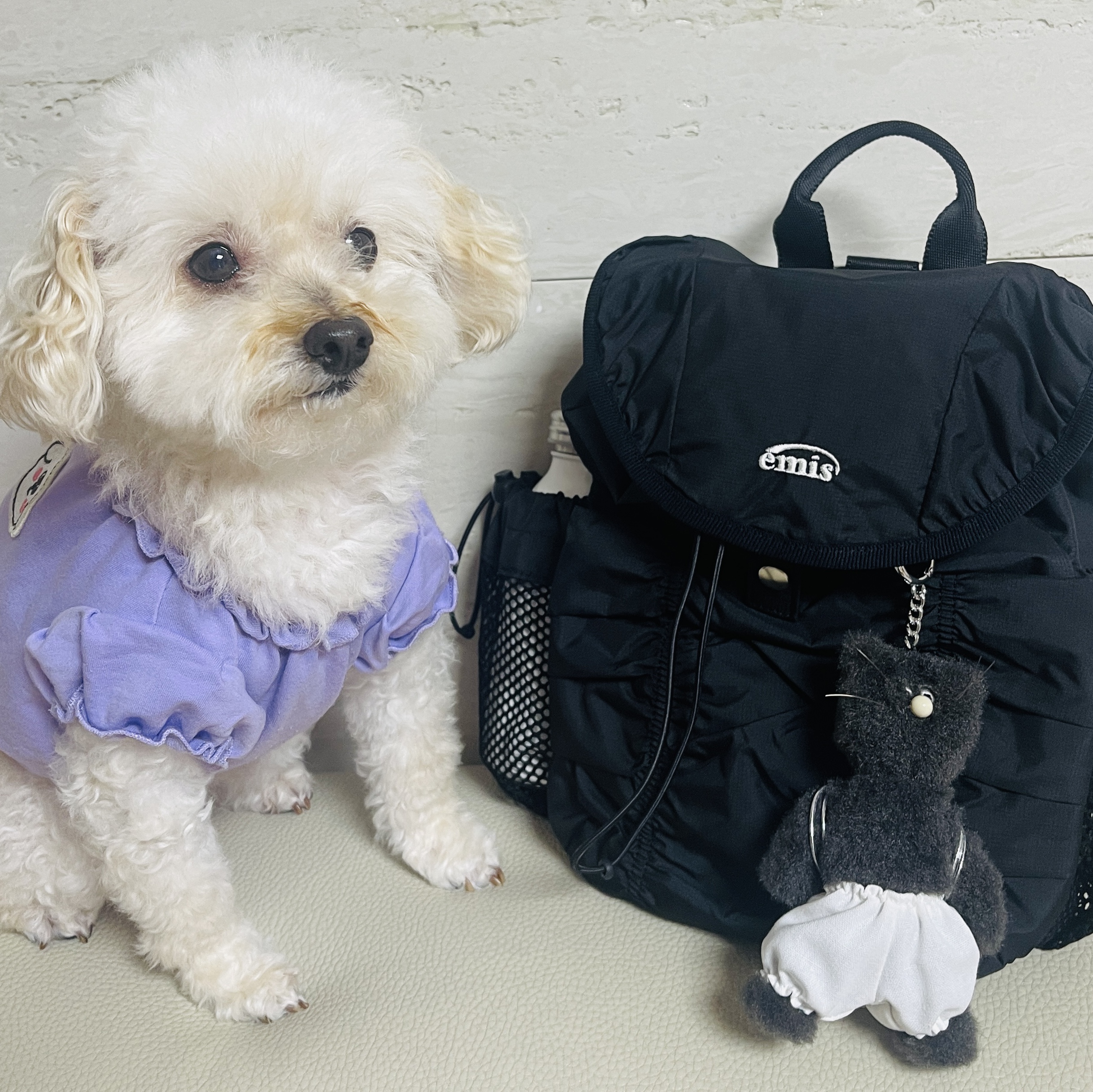 Emis Shirring Backpack Black, Monamhee x Line Friends Blay Keyring 착용 스타일 - 2