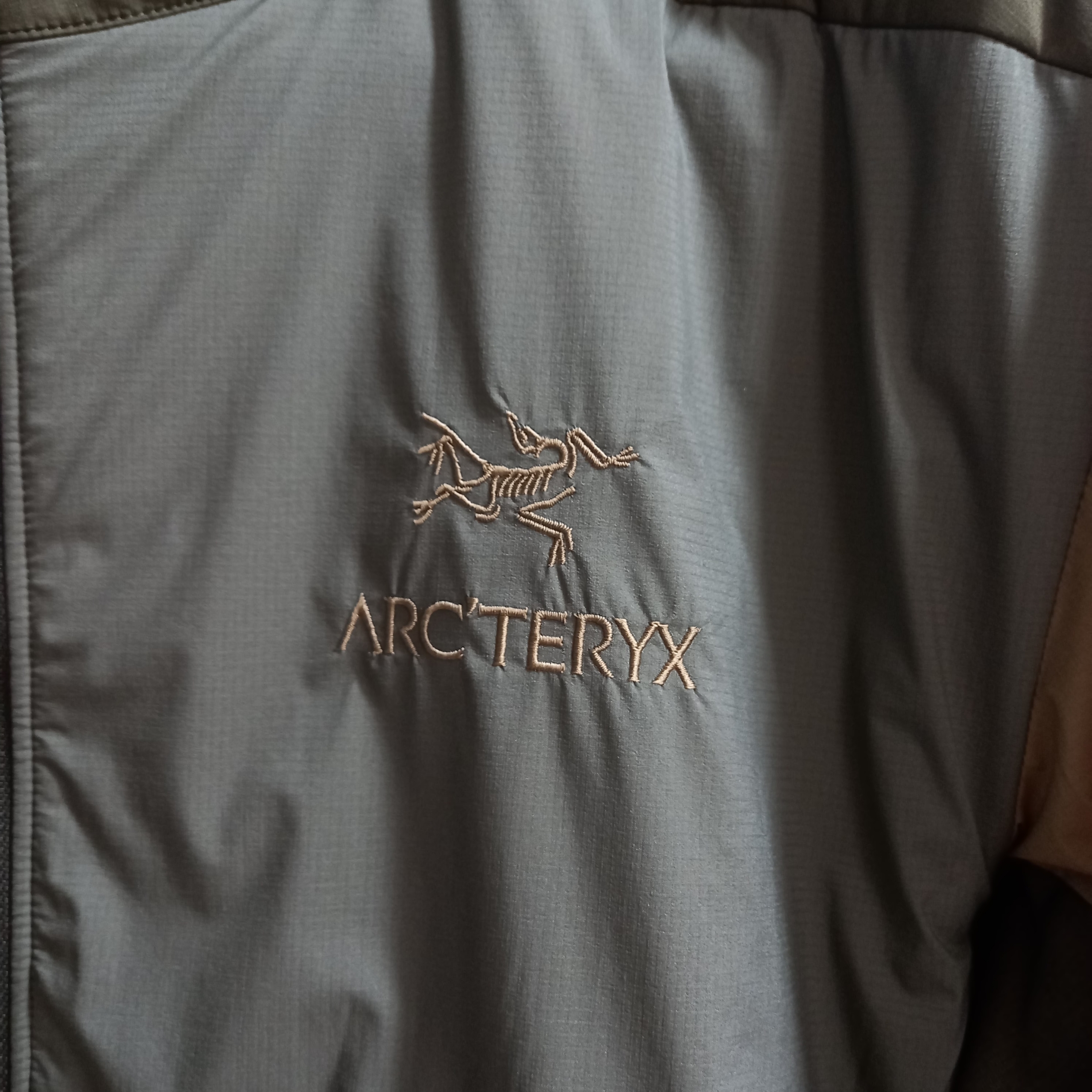 Arc'teryx Atom LT Hoody Tatsu Forage 착용 스타일 - 3