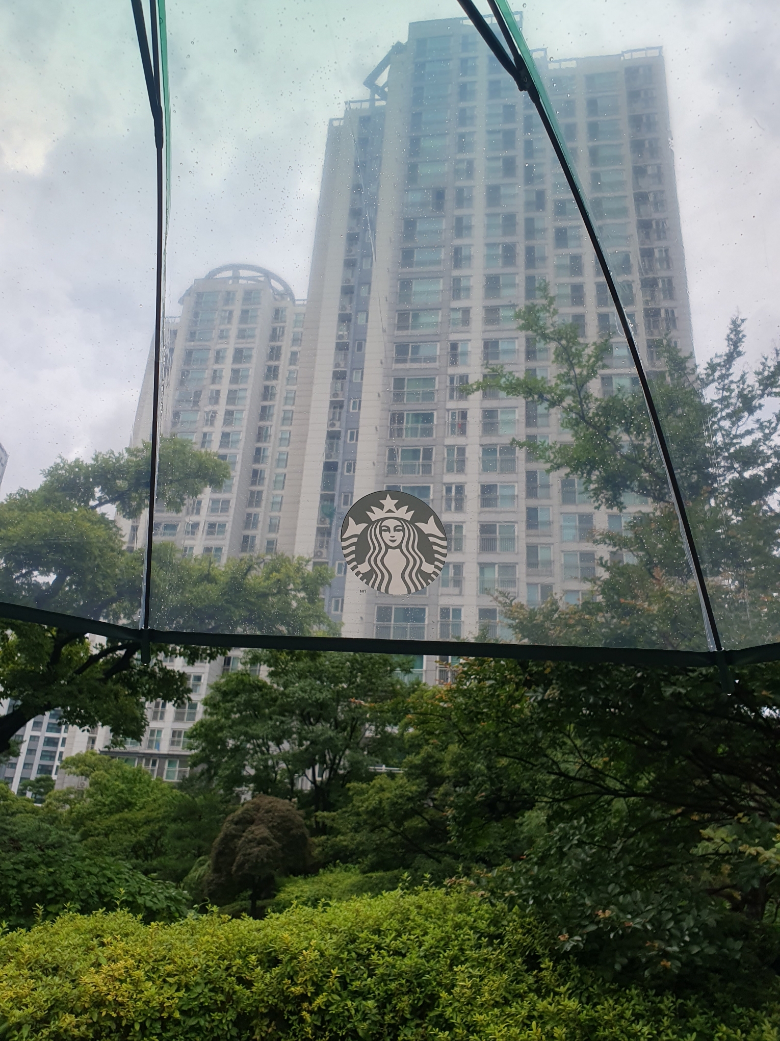 Starbucks Rainy Day Transparent Umbrella Green 착용 스타일 - 2