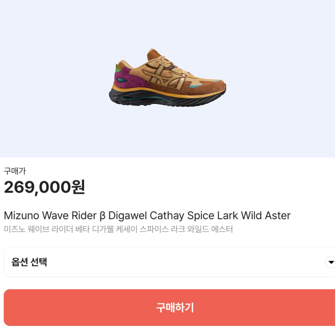 Mizuno Wave Rider β Digawel Cathay Spice Lark Wild Aster 착용 스타일 - 2