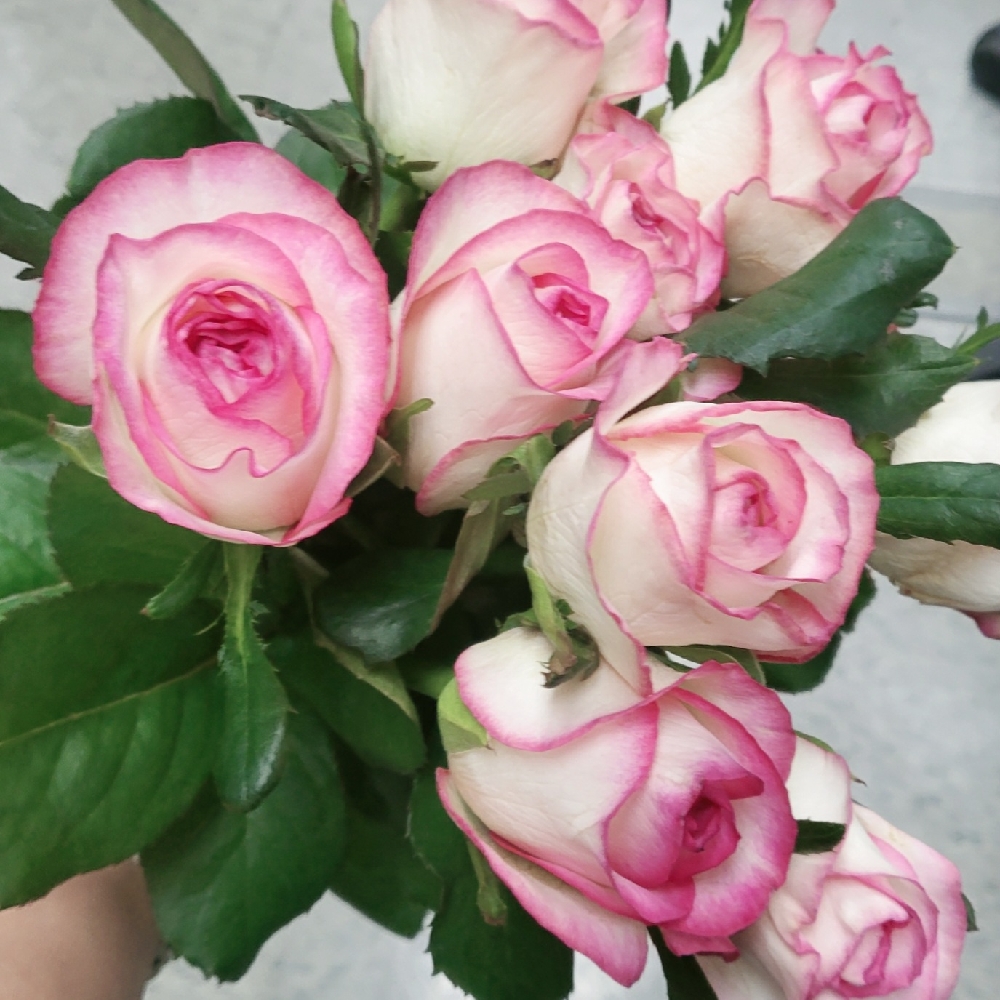 관심 유저 프로필 이미지